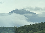 ѡ<em></em>СȰü۸Ͷ