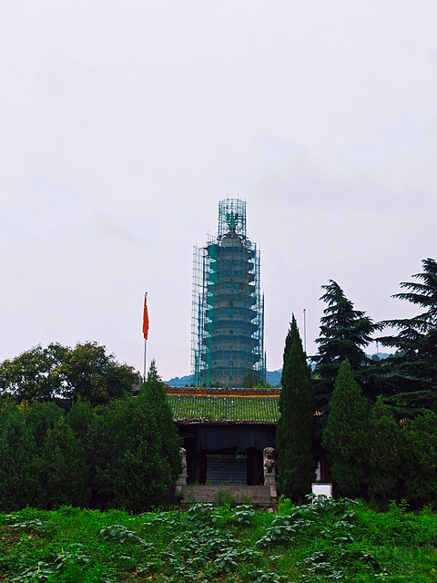 131912OSeIKzL9dXfDyhrW.jpg