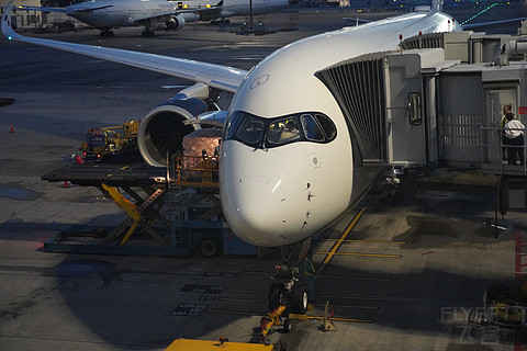 港台线“新兴势力”星宇航空A350经济舱飞行体验，香港国际HKG-台湾桃园TPE