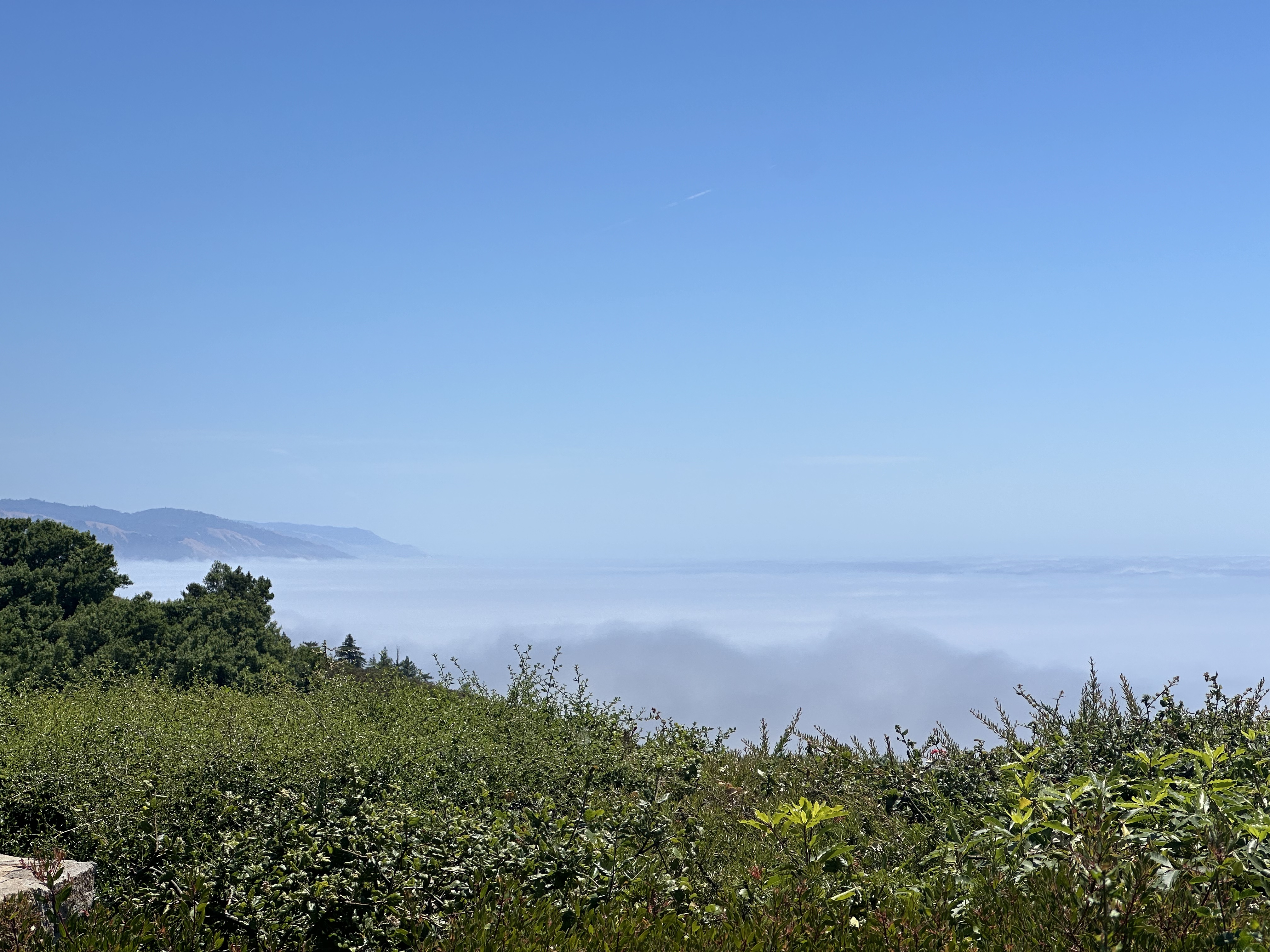 ɭũ - Alila Big Sur