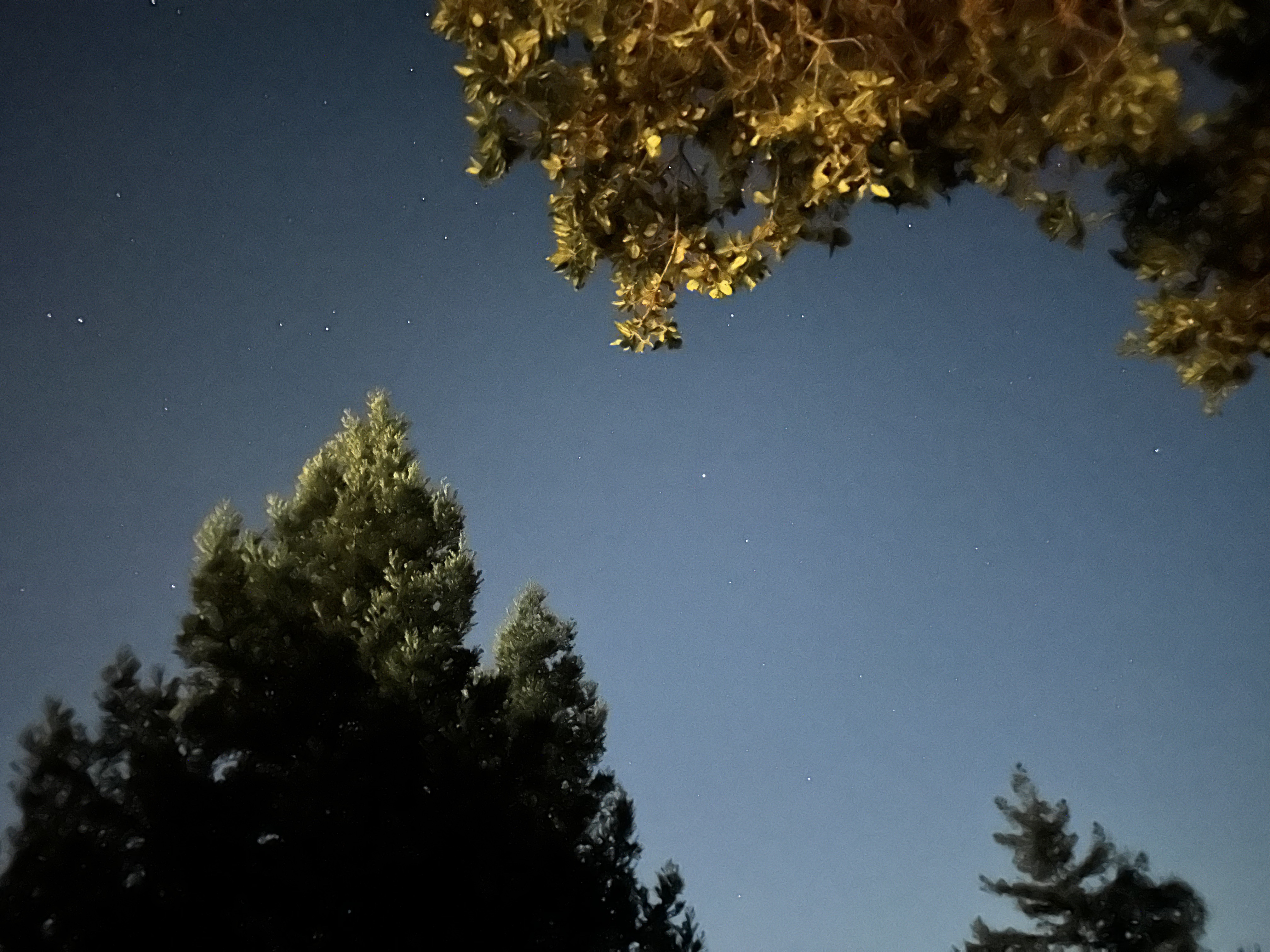 ɭũ - Alila Big Sur
