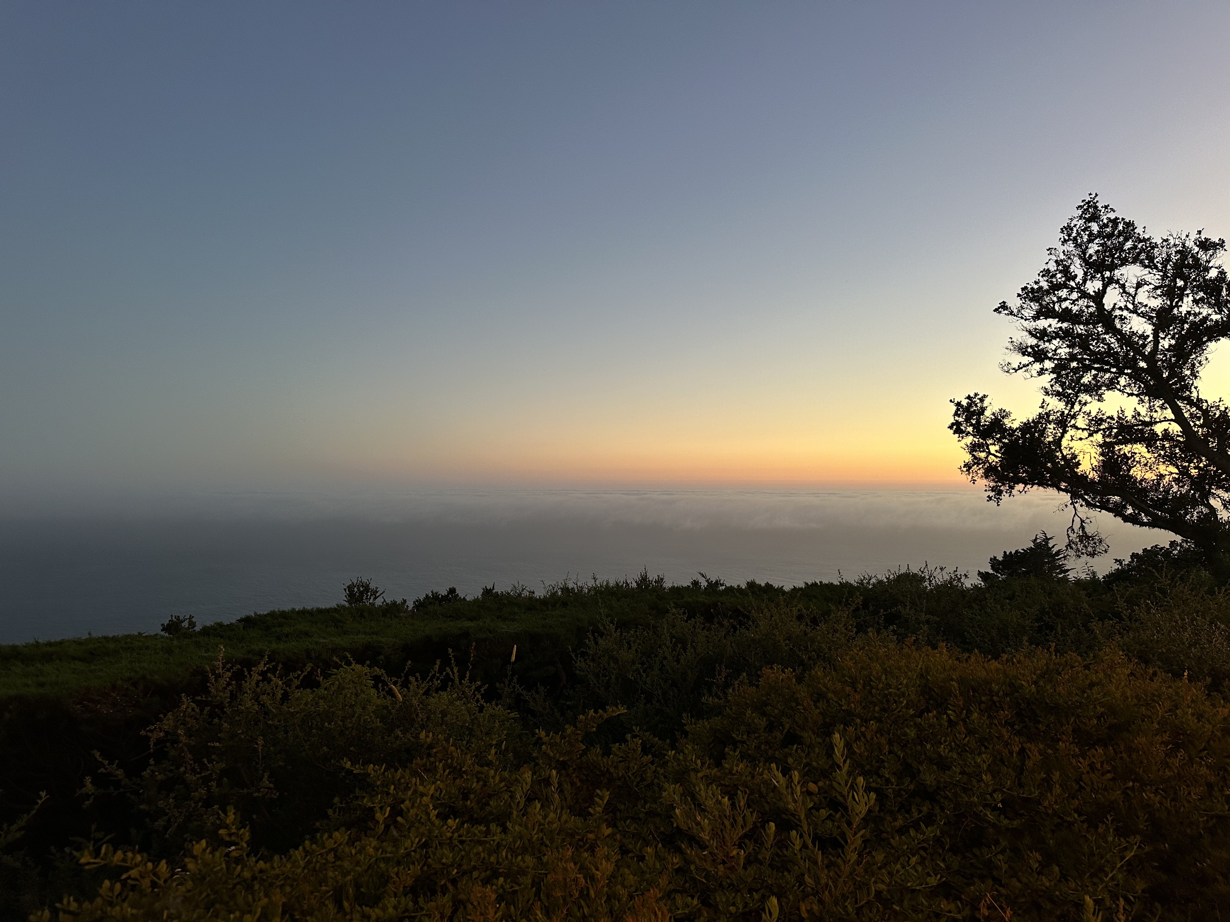 ɭũ - Alila Big Sur