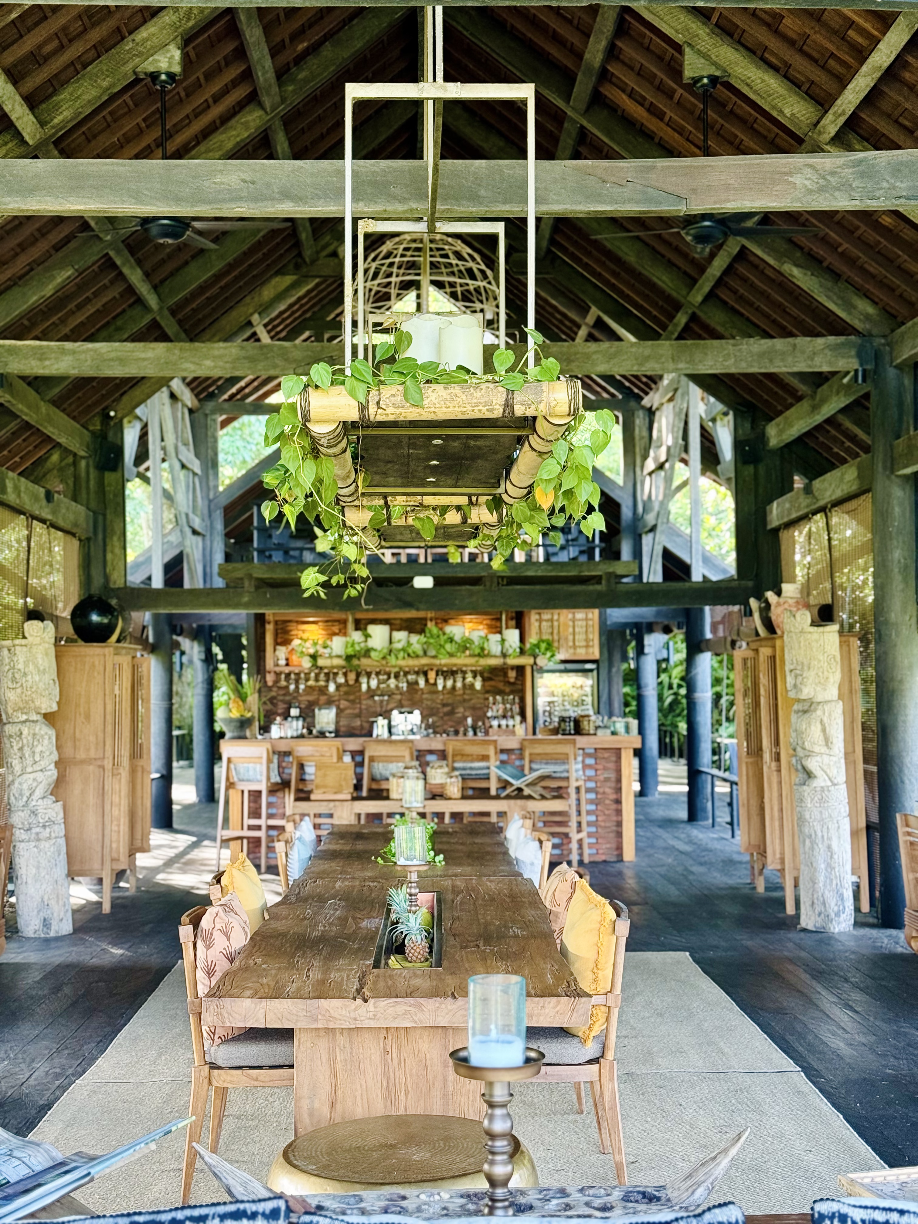 жݶȼٴر顪嵺ݾBuahana Banyan Tree Escape