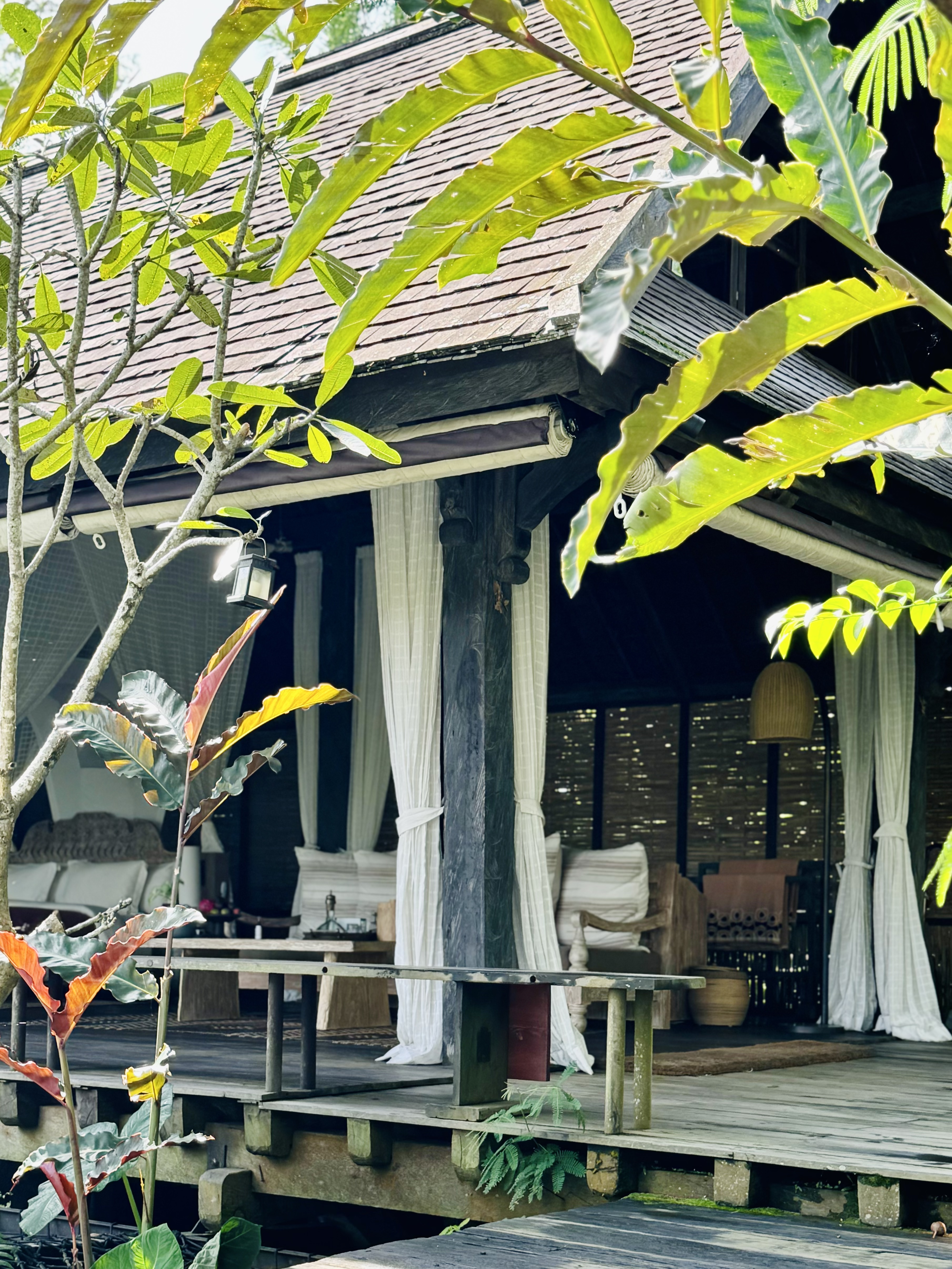 жݶȼٴر顪嵺ݾBuahana Banyan Tree Escape