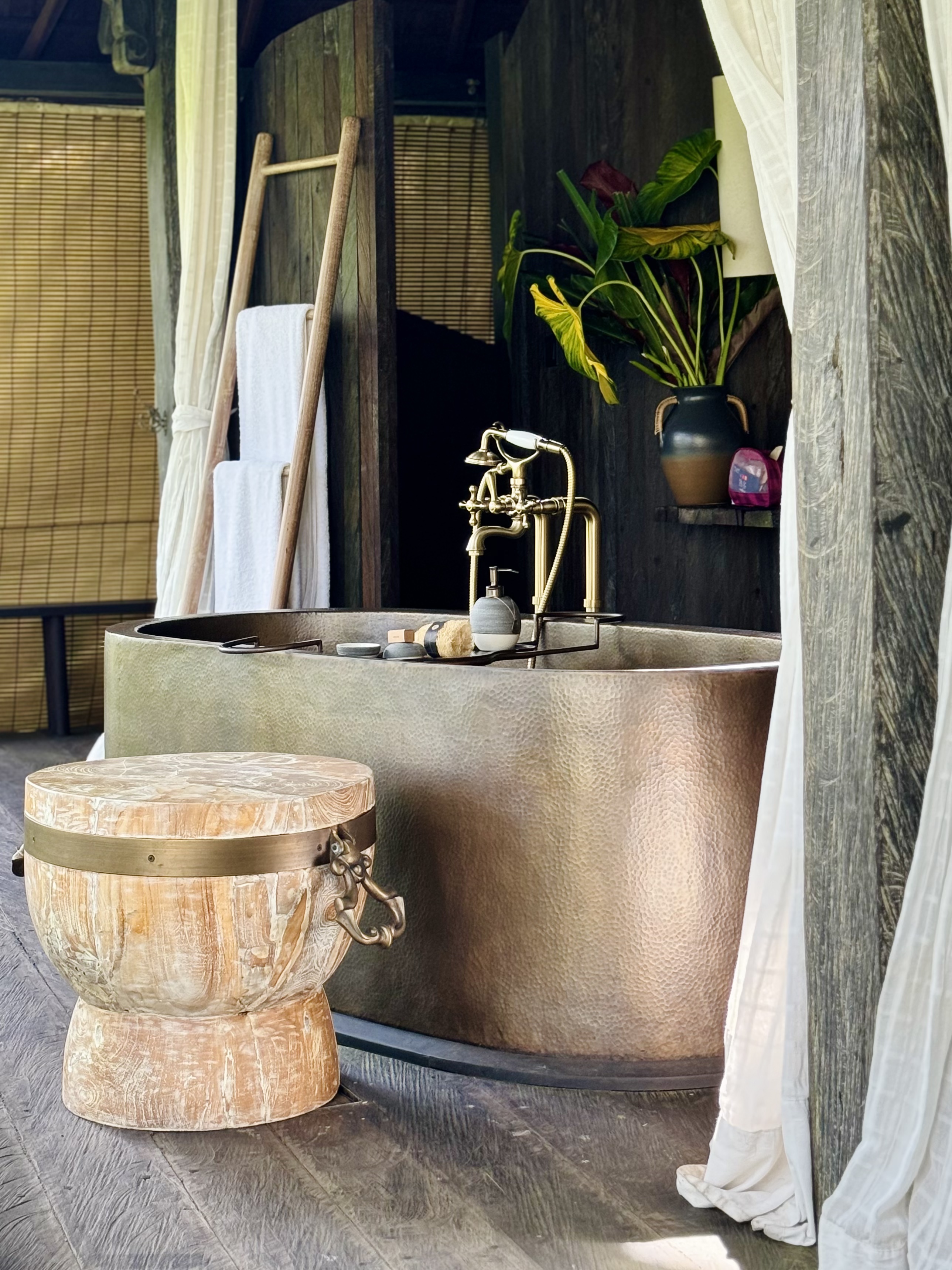 жݶȼٴر顪嵺ݾBuahana Banyan Tree Escape