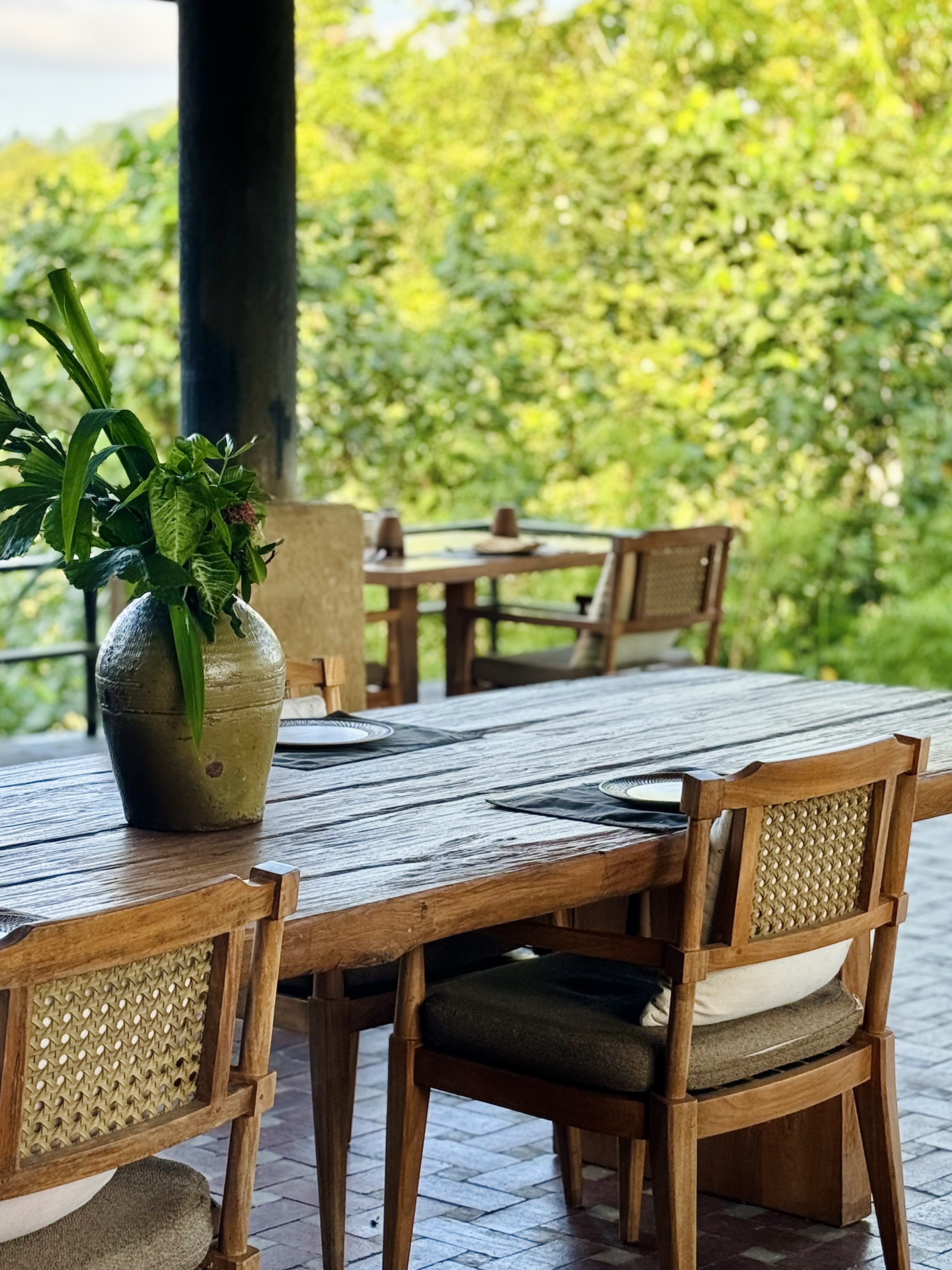 жݶȼٴر顪嵺ݾBuahana Banyan Tree Escape