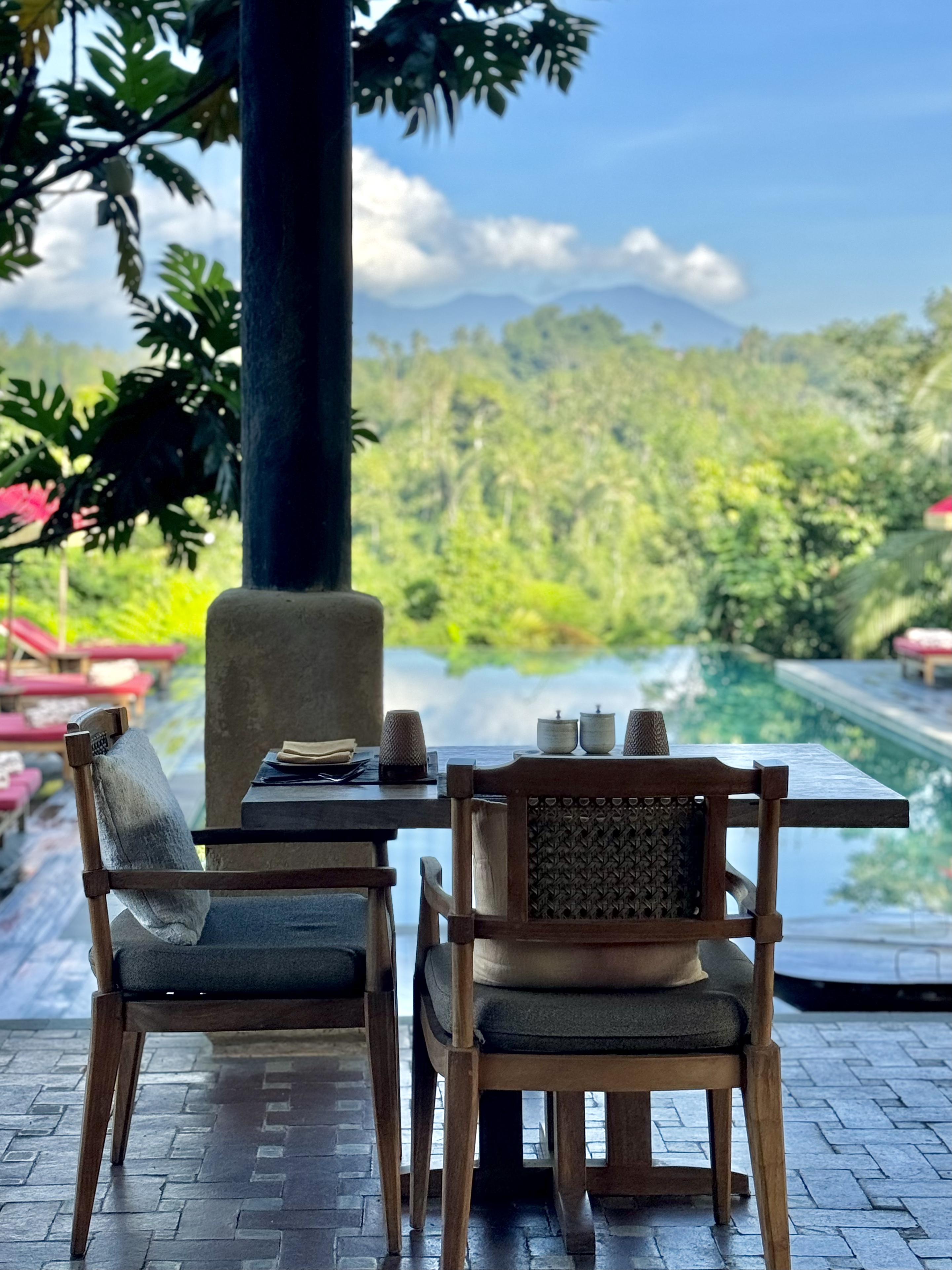 жݶȼٴر顪嵺ݾBuahana Banyan Tree Escape