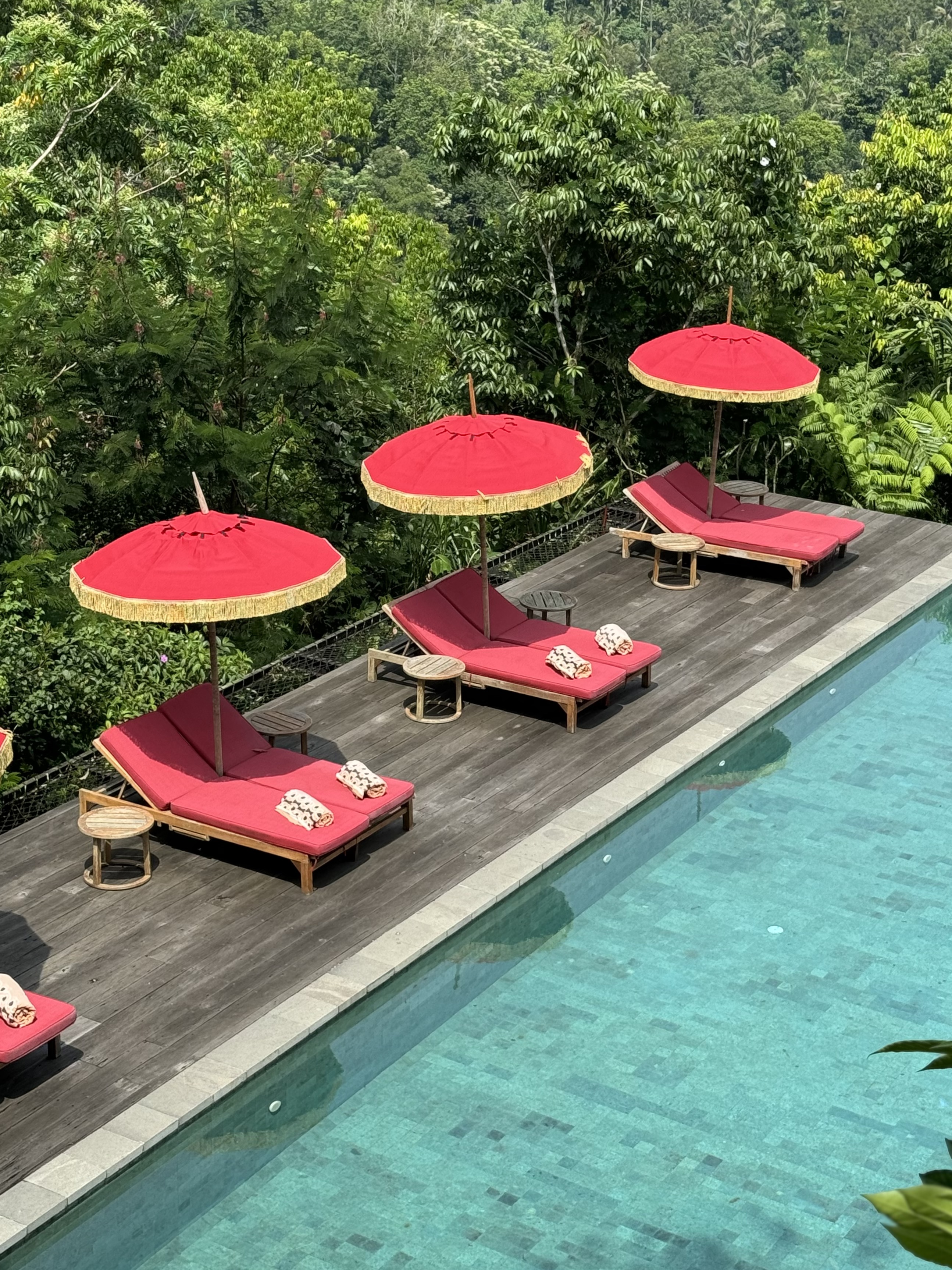 жݶȼٴر顪嵺ݾBuahana Banyan Tree Escape