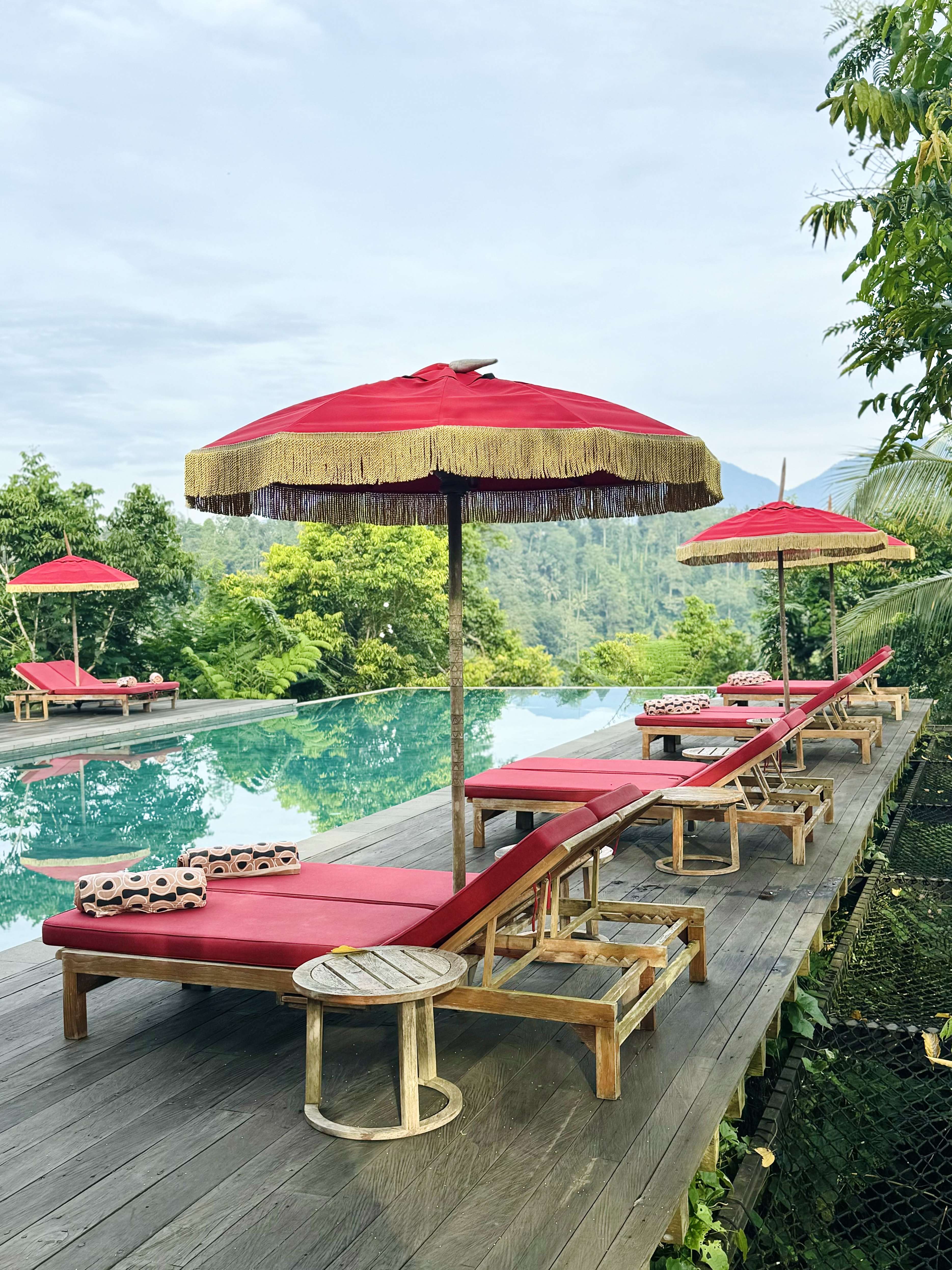 жݶȼٴر顪嵺ݾBuahana Banyan Tree Escape