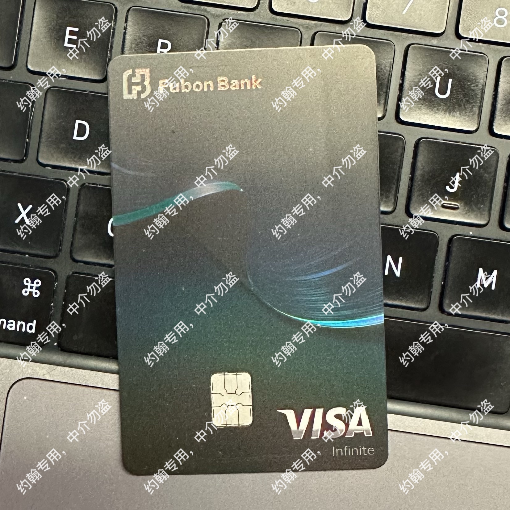 ǳ̸Visa׽