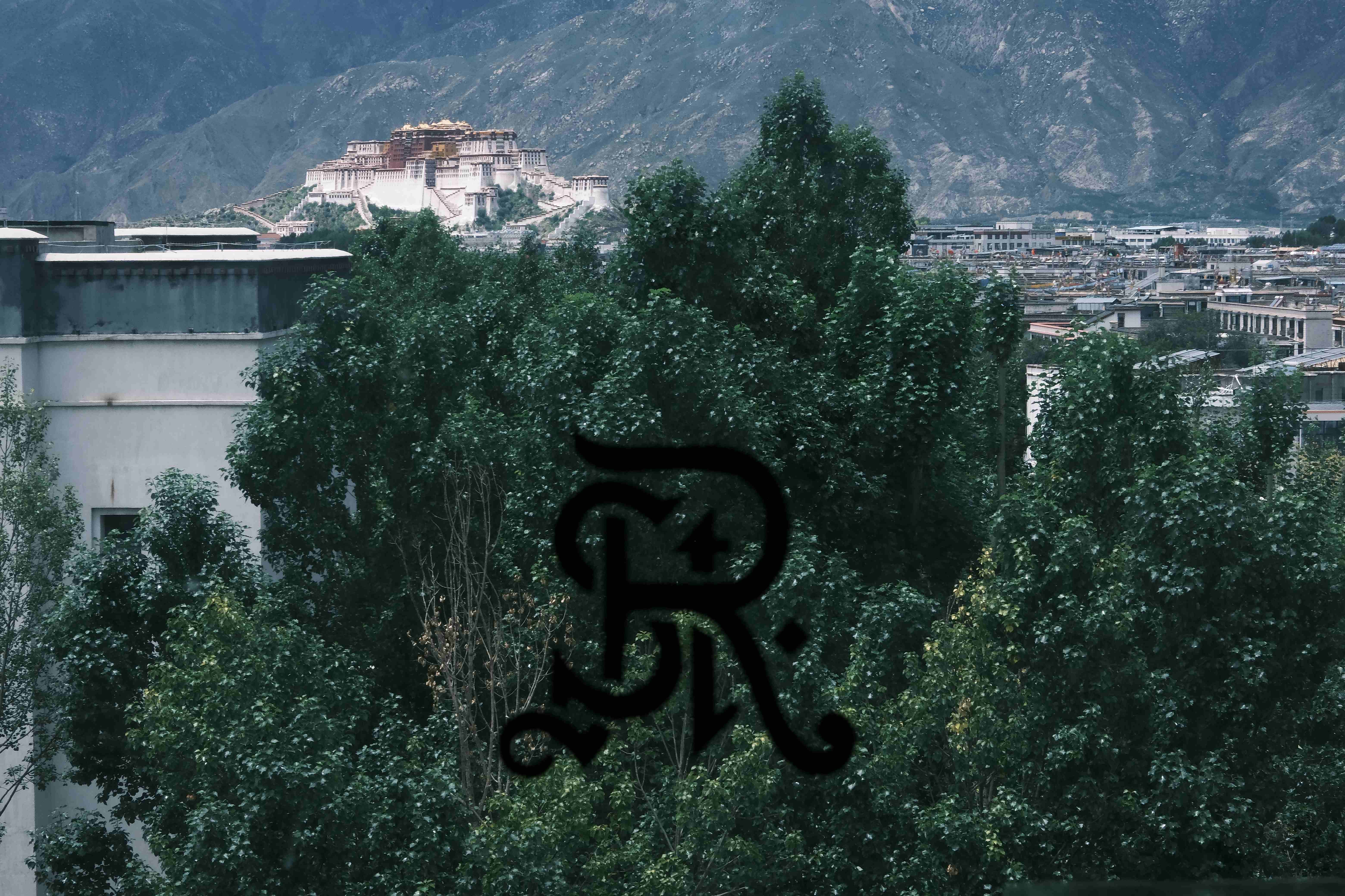 𼪶ȼپƵס