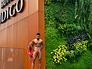 ¡¹԰Ӣϸ׷Hotel <em>Indigo</em> Kuala Lumpur on the Park