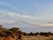 <em></em>Tawi LodgeҰ飨Amboseli Tawi Lodge-