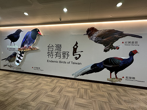 飞行日记 | 中华航空CI22 台北桃园TPE-SEA西雅图