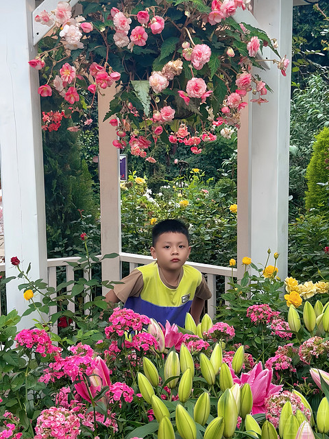 新加坡安达仕｜真南洋地，伪南洋风海景房亲子游入住打卡