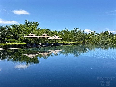 夏日海岛志，南下：那片宁静的海｜蓝湾绿城威斯汀度假酒店泳池海景套房
