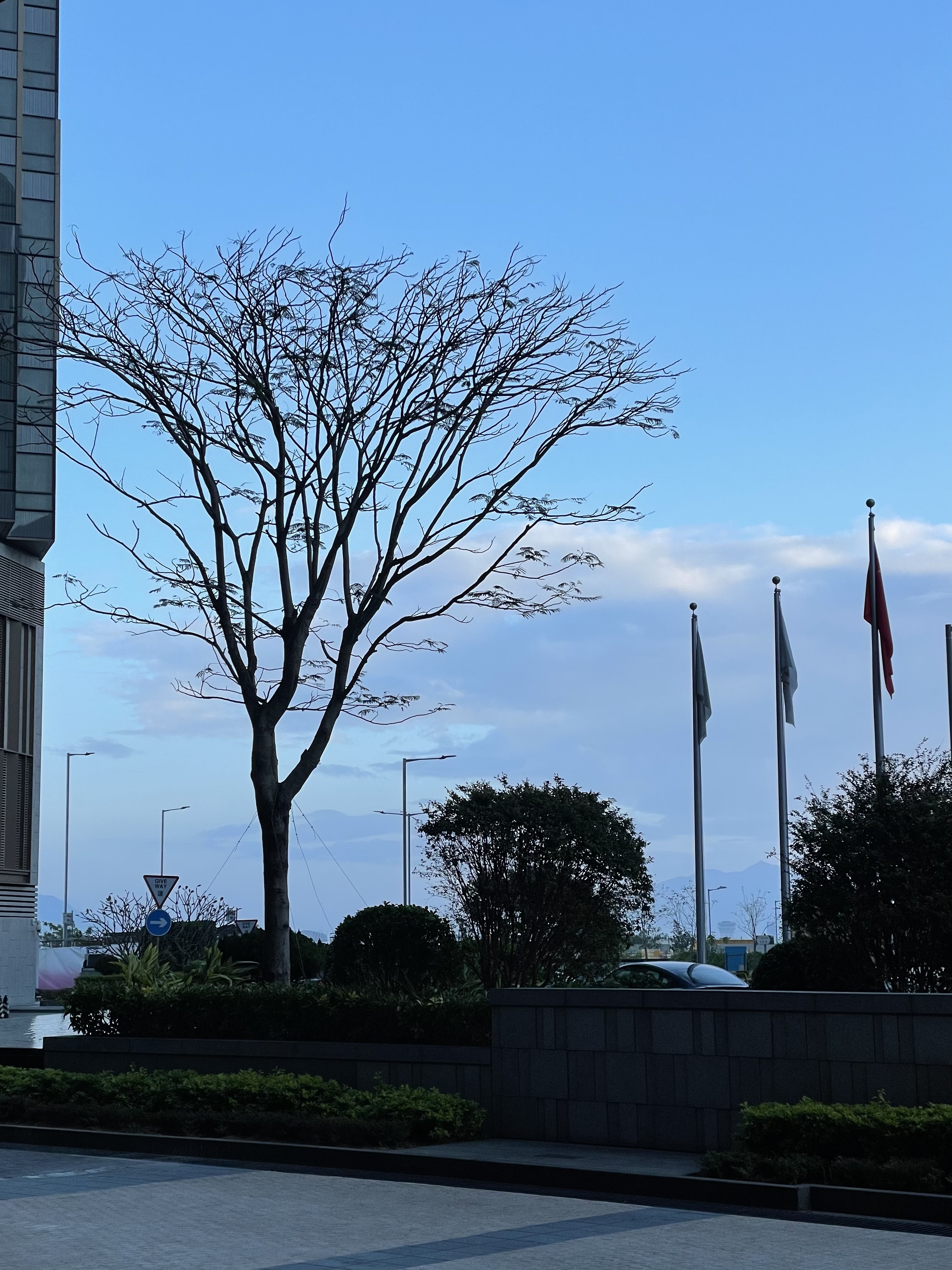 #۶ӿϲǾƵ Four Points by Sheraton Hong Kong, Tung Chung