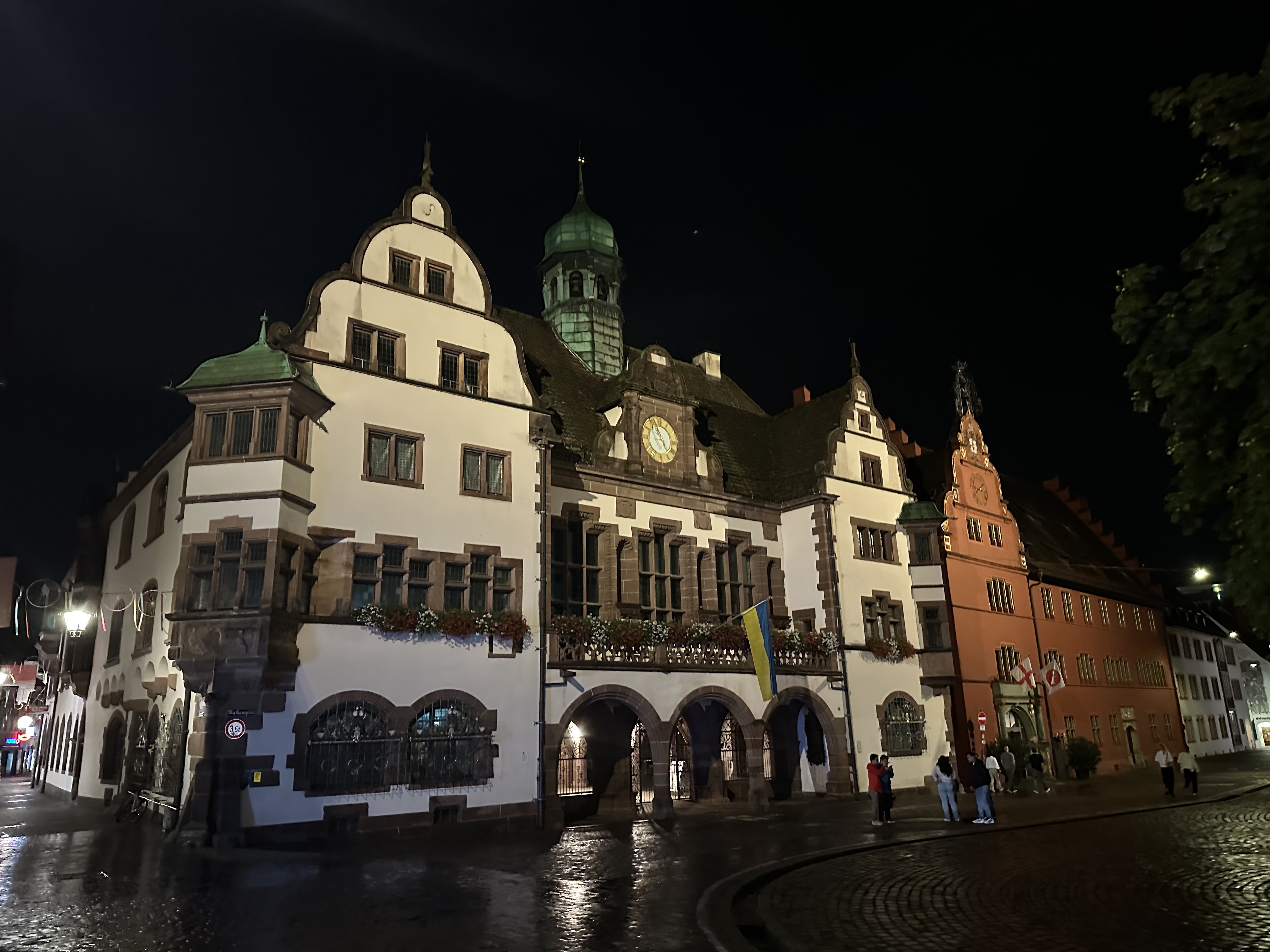 Freiburg Courtyard Ƶ