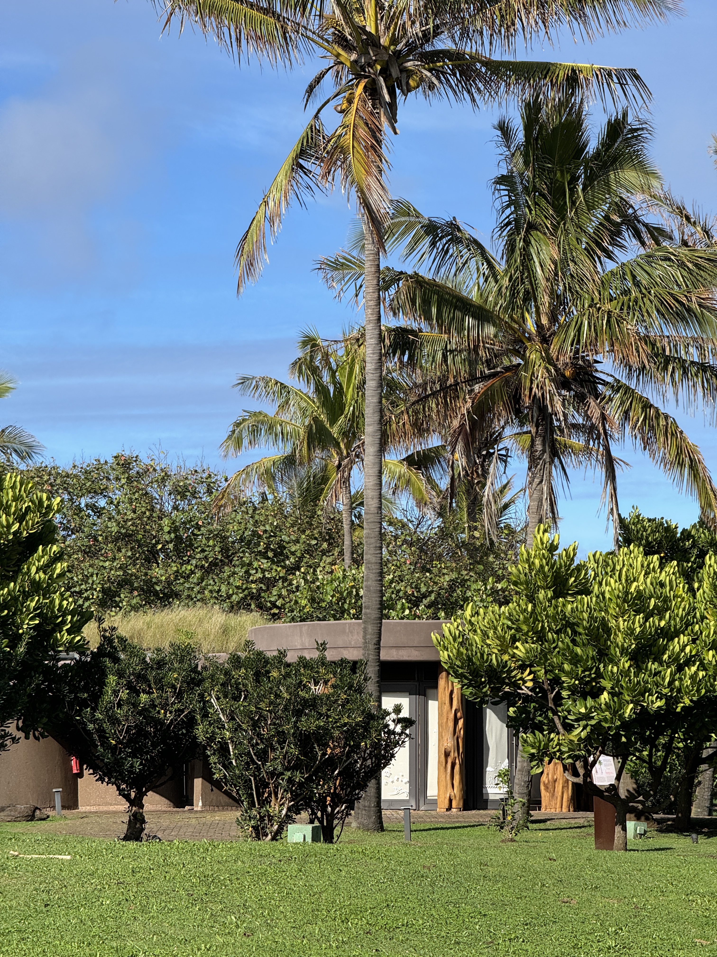 ׷ڵLHWNayara Hangaroa, Easter Island