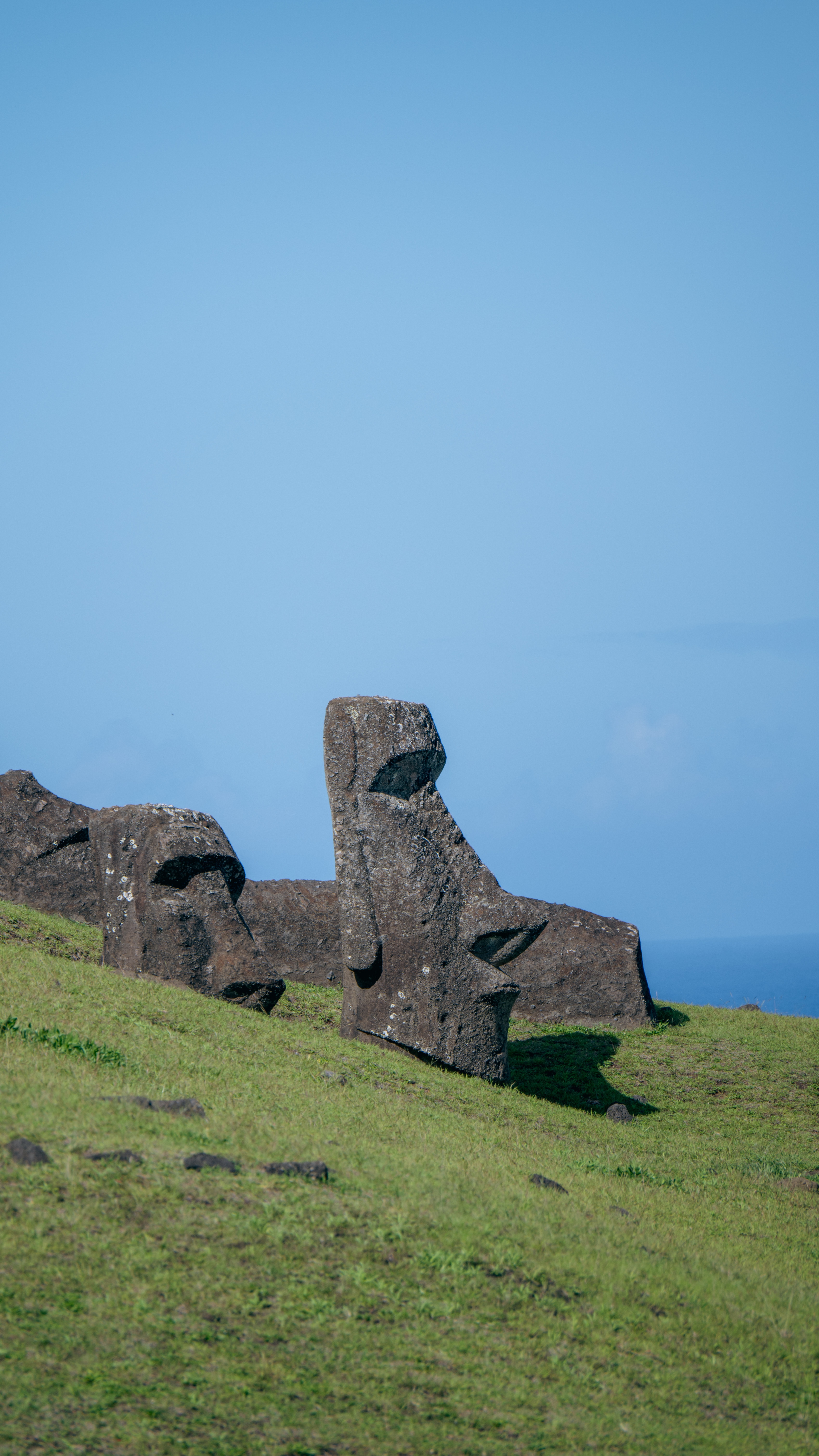 ׷ڵLHWNayara Hangaroa, Easter Island