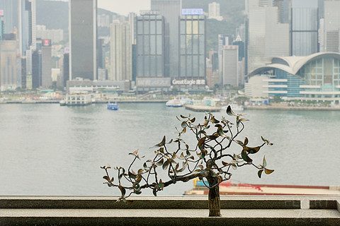 这里的维多利亚港最精彩——香港丽晶酒店维港景客房