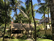 <em>ڲ</em> 嵺ؾƵ&127470;127465;