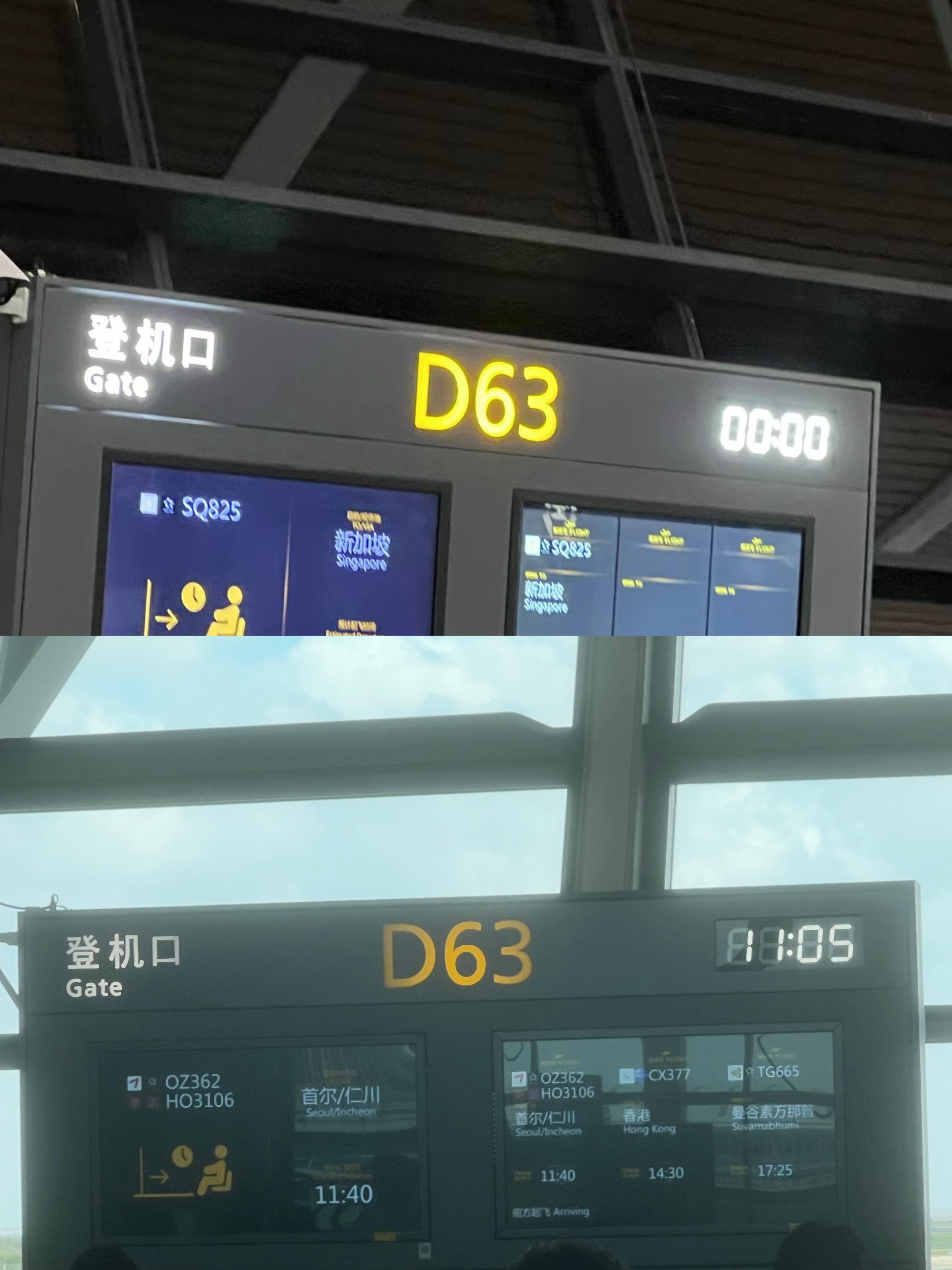 Լ۱ȵ飬OZ PVG-ICN-SEA 鱨