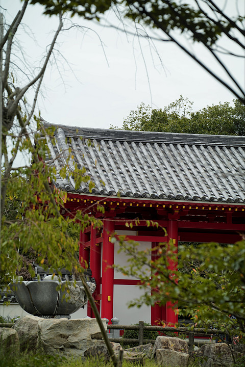 记得那一碗夜鸣拉面—多美迎高松中央公园前酒店双床榻榻米客房体验