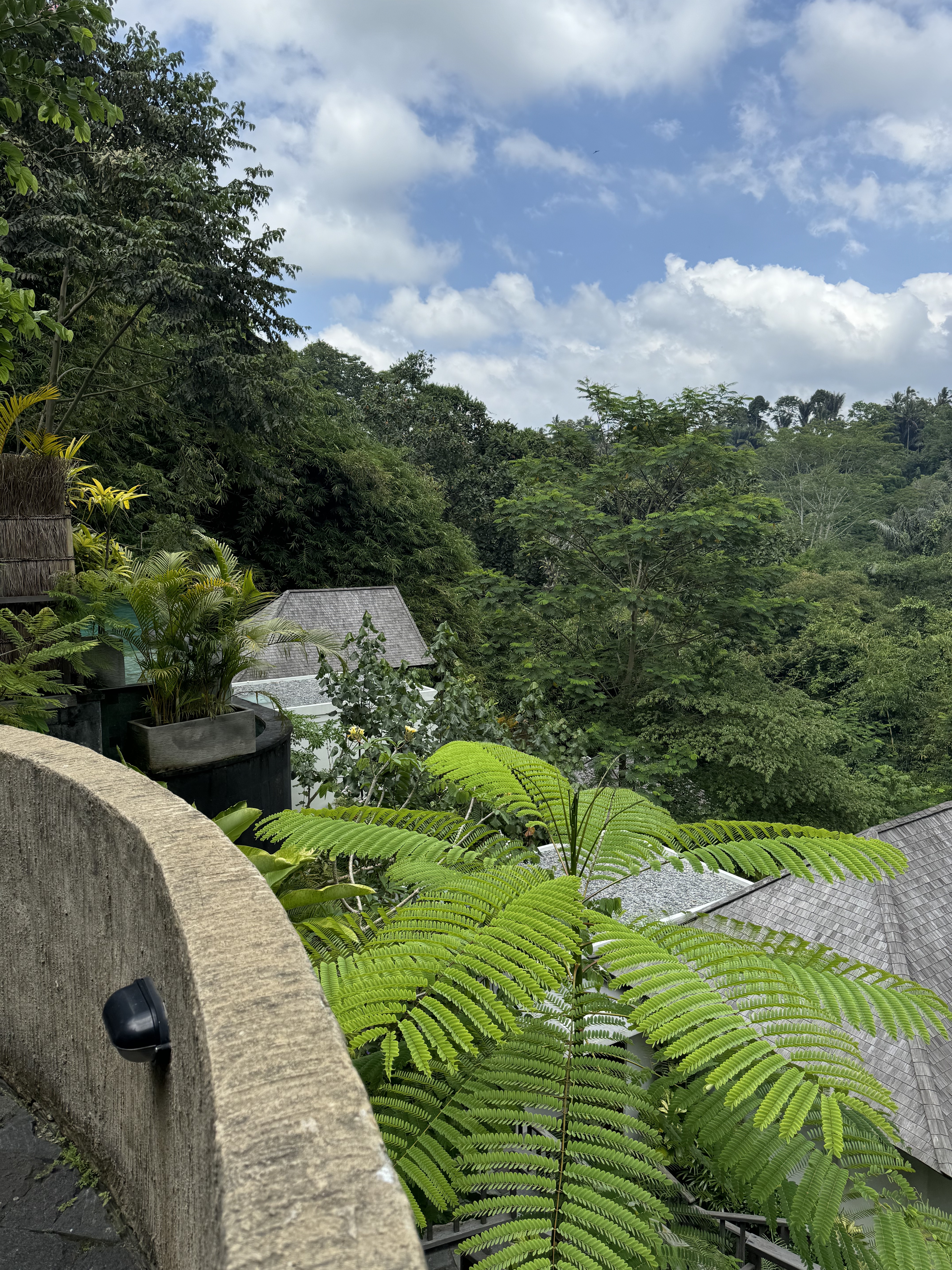 ȫ׷嵺ڲ;ƵꡪCicada Resort Bali Ubud