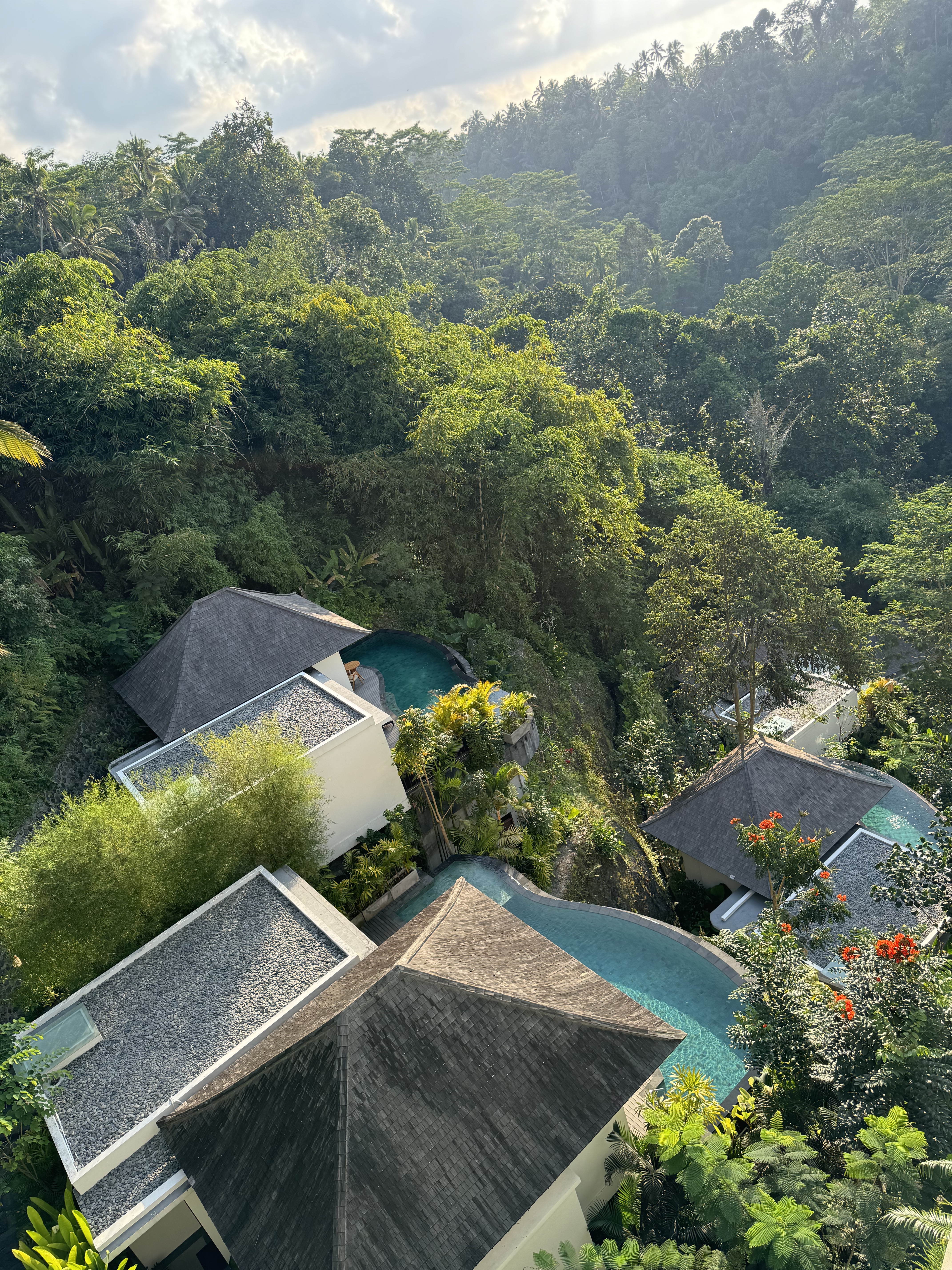 ȫ׷嵺ڲ;ƵꡪCicada Resort Bali Ubud