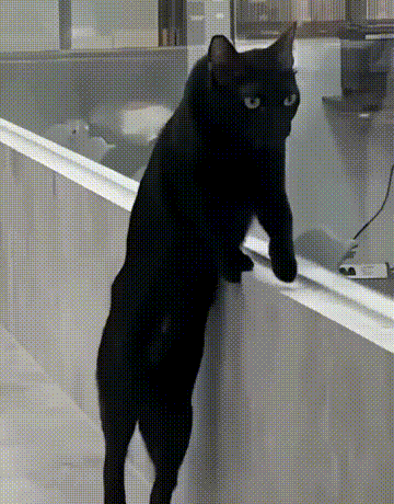 ΪɶҪҰ˵֮Ҳμ