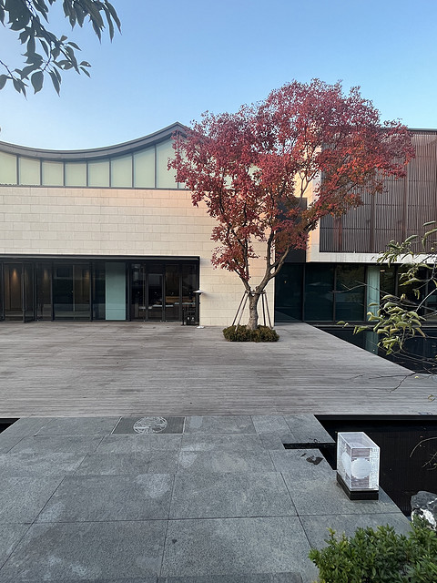 128 秋天的回忆-苏州金普顿竹辉酒店/Bamboo Grove-Kimpton hotel suzhou