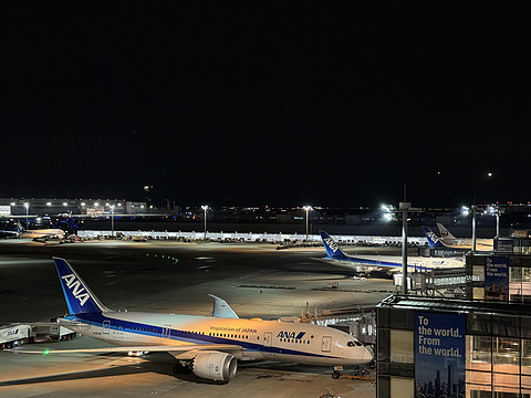 寒假回忆之东京之旅，香港快运航空0元机票（下）UO623东京羽田—香港A321经济舱飞行报告