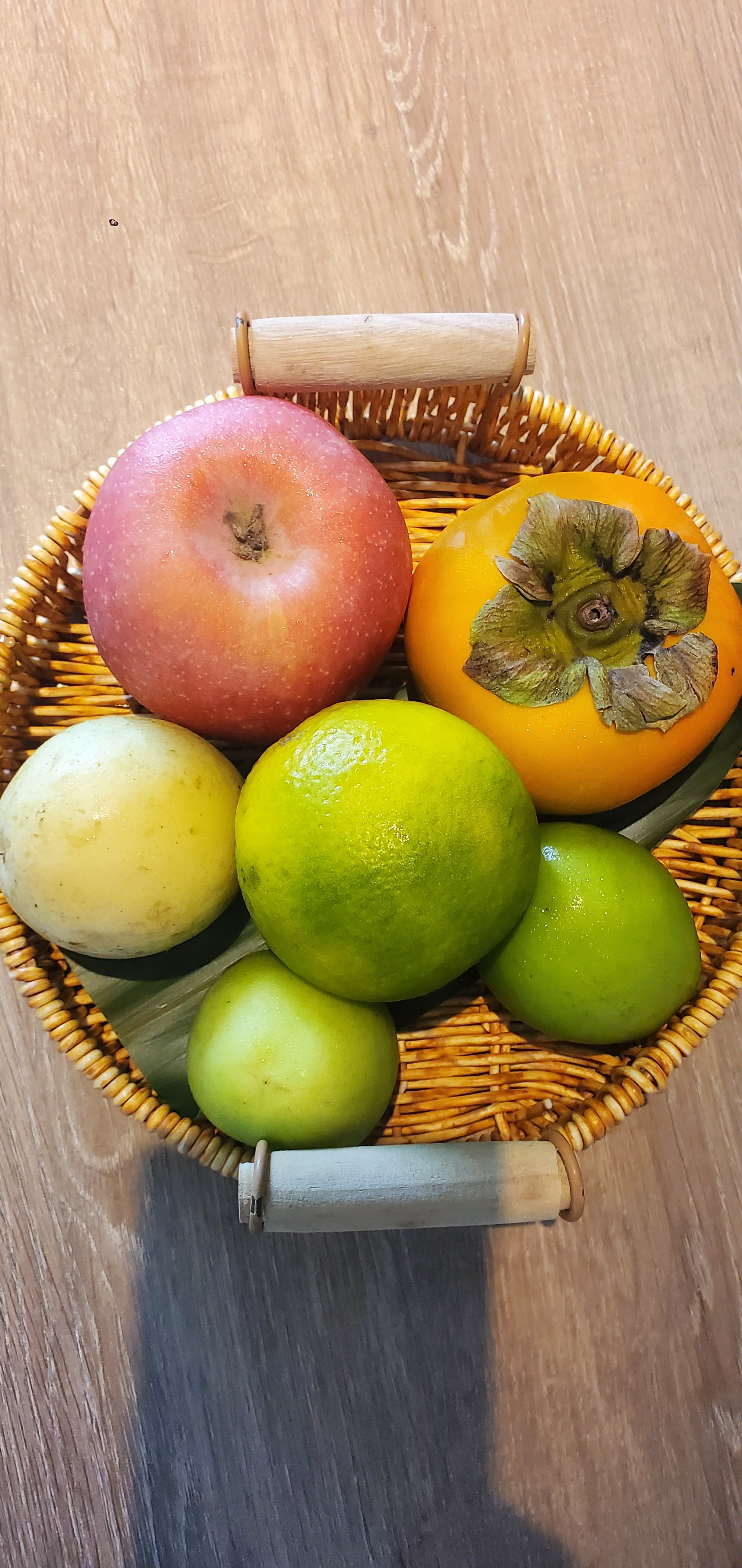 IHGļ䡫նȼپƵ