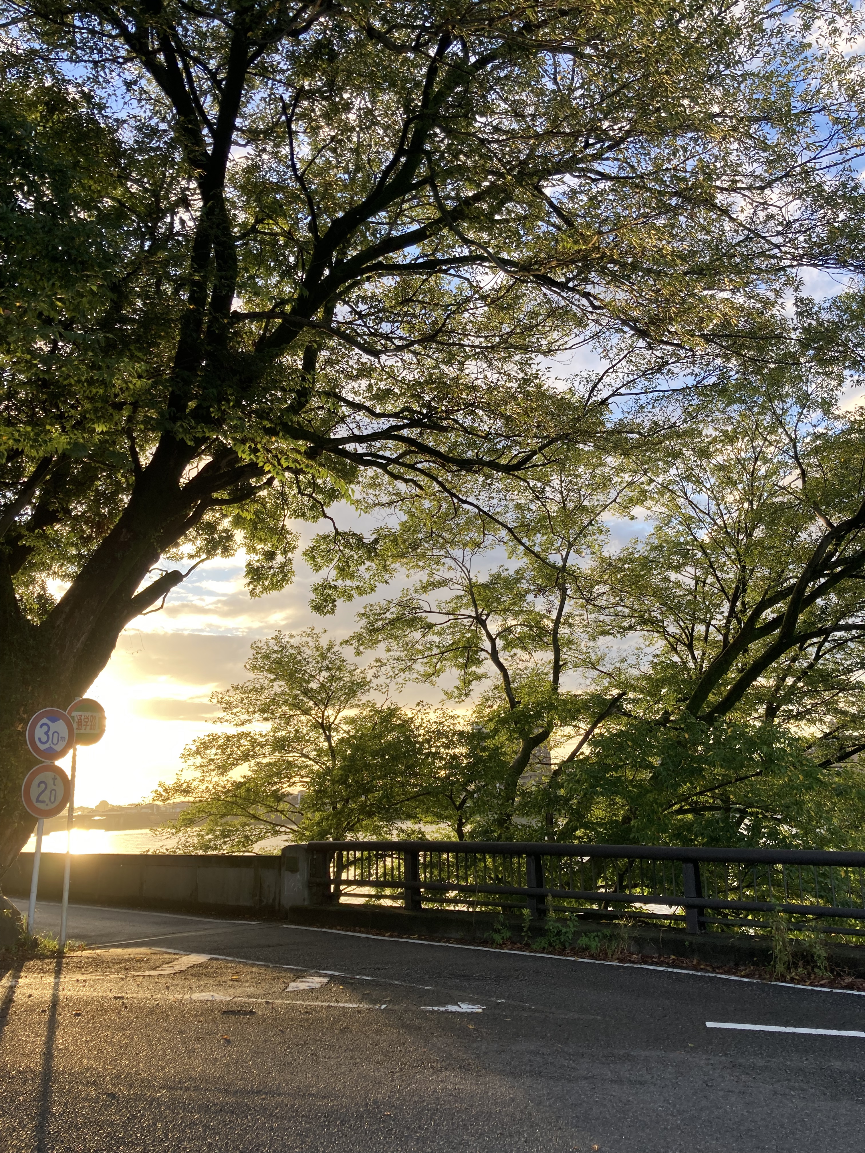 ȮɽӢϸ Hotel Indigo Yinuyama Urakuen Garden