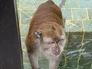 ˼<em></em>-&128053;&128063;65039;