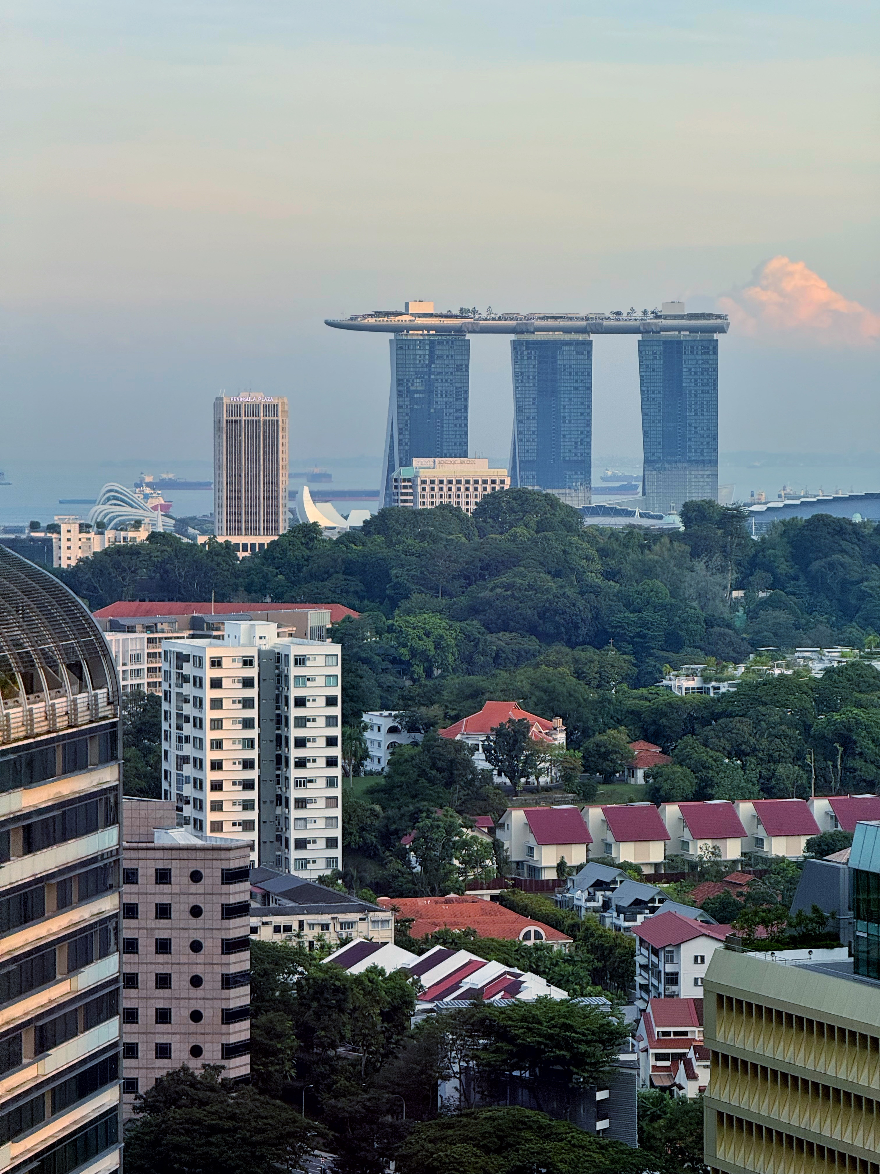 ¼🇸🇬ڽϣپƵ🏨