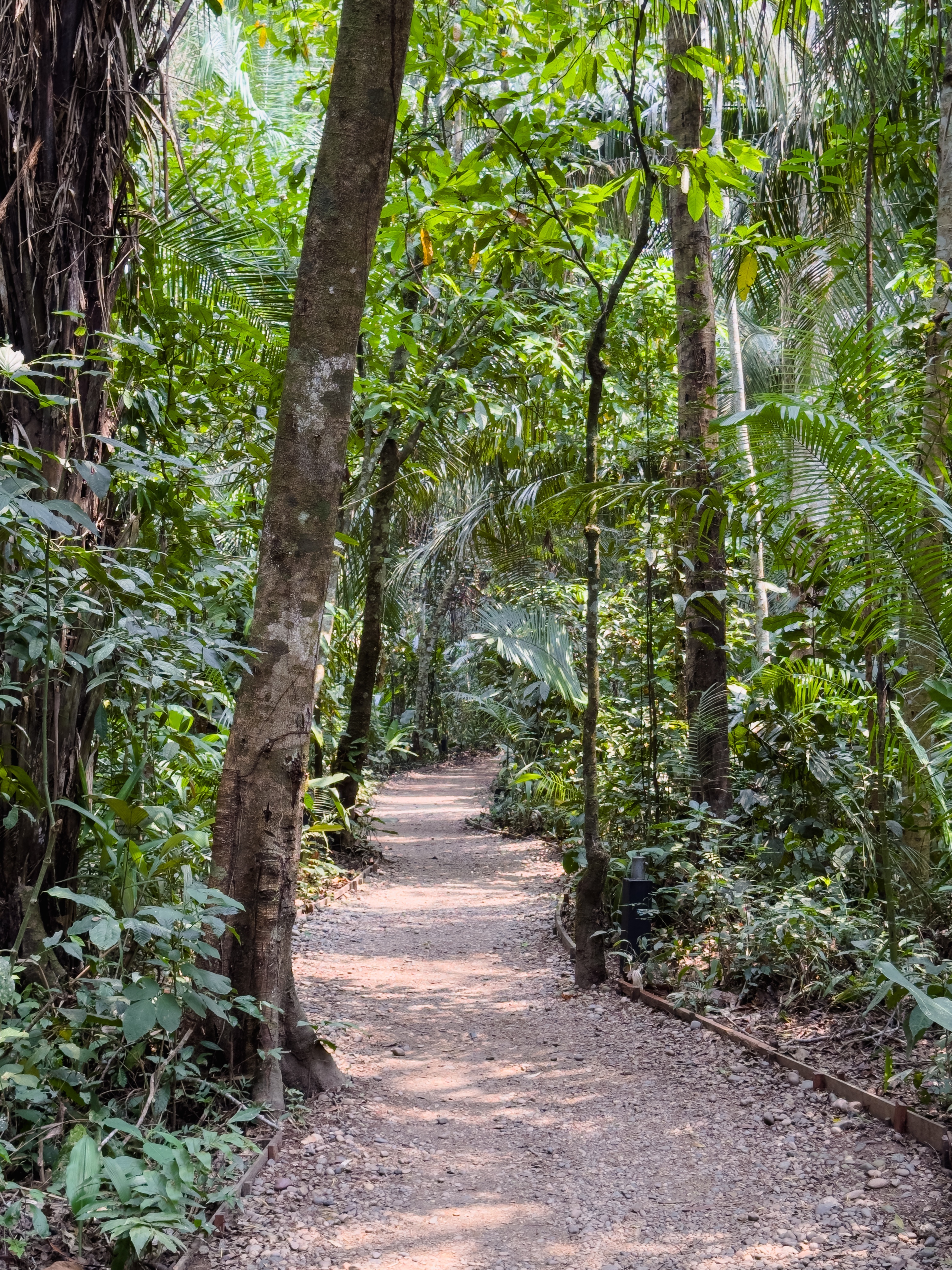 ³ѷEcolodgeInkaterra Reserva AmazonicaHacienda Concepcion