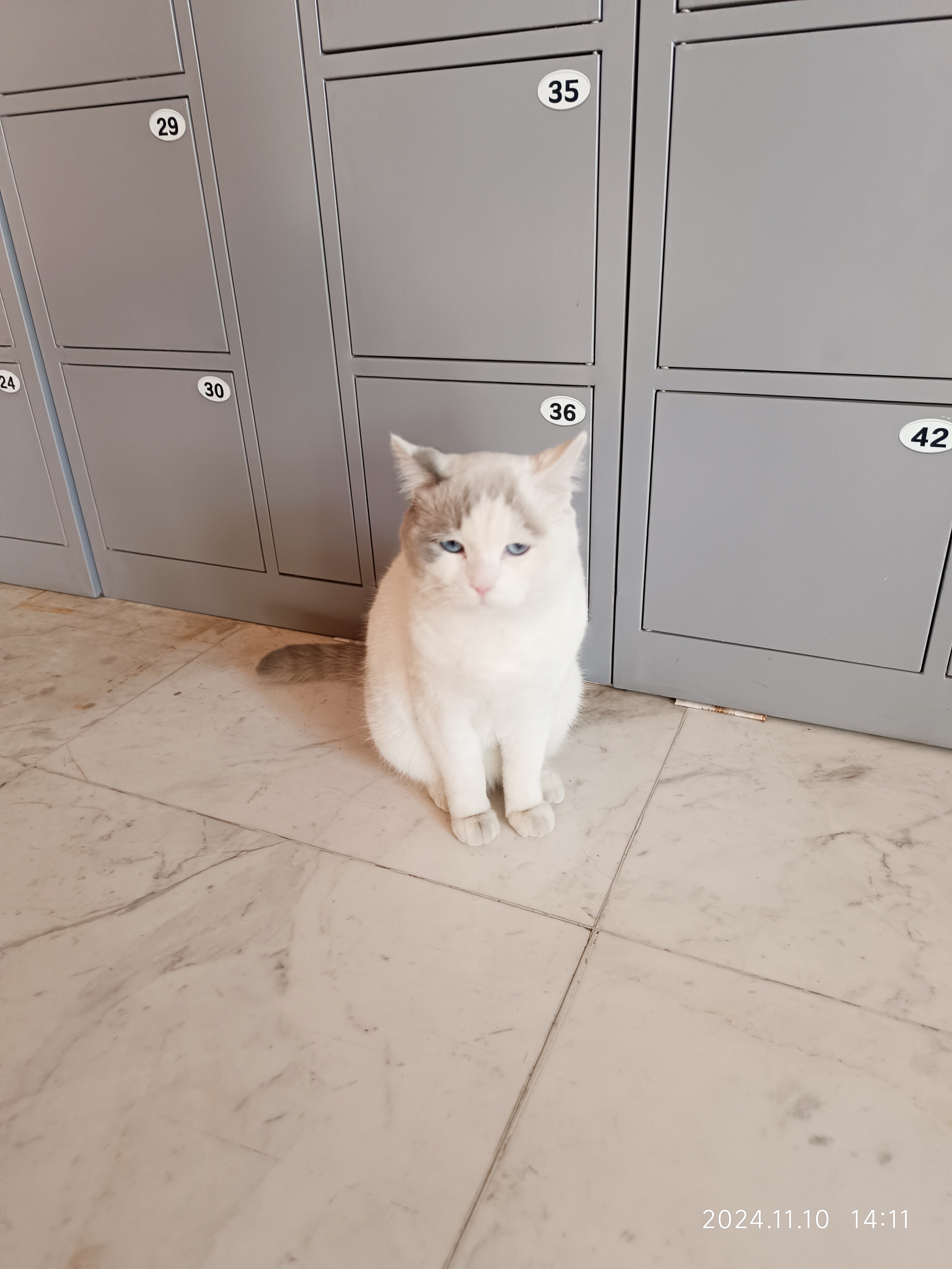 ½ǻ