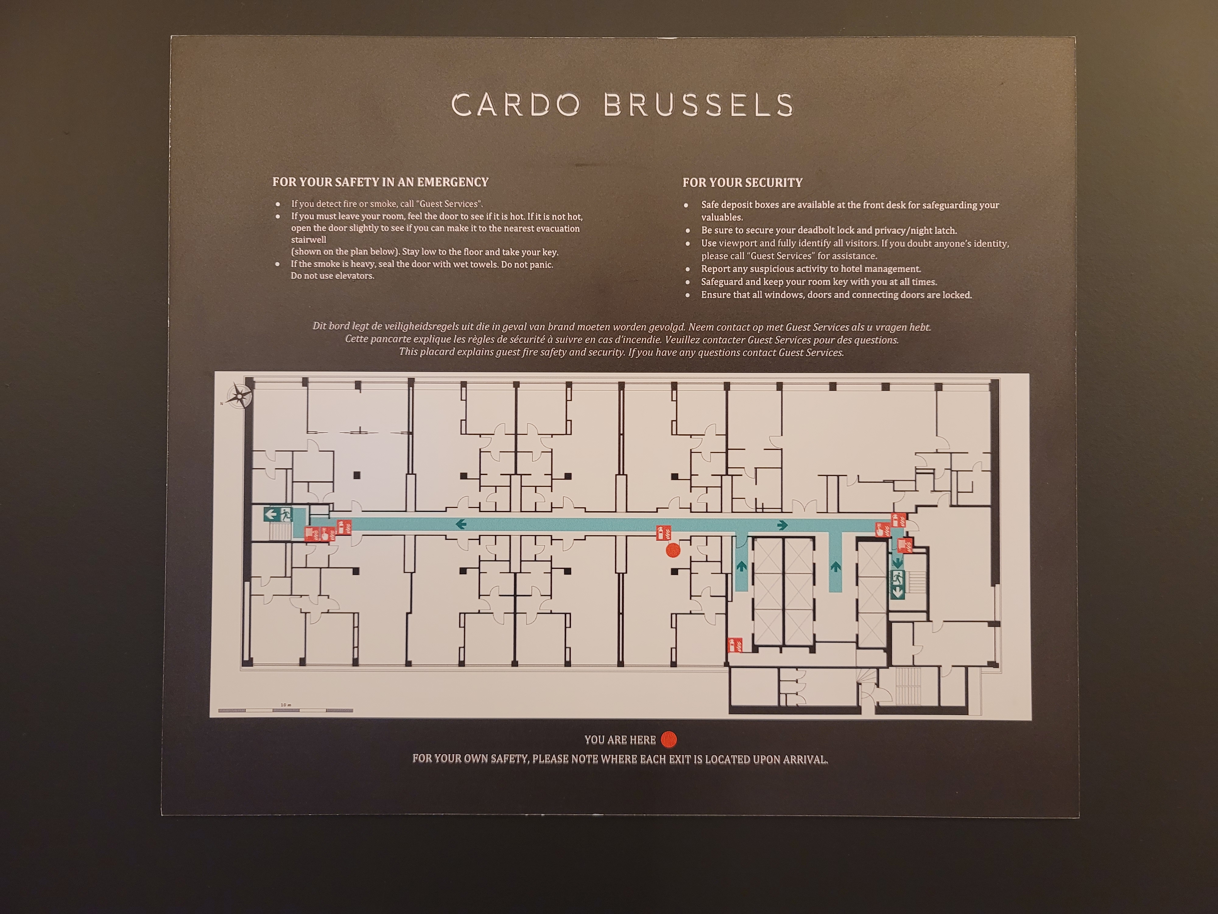 ֵ磺³; CARDO Brussels, Autograph Collection