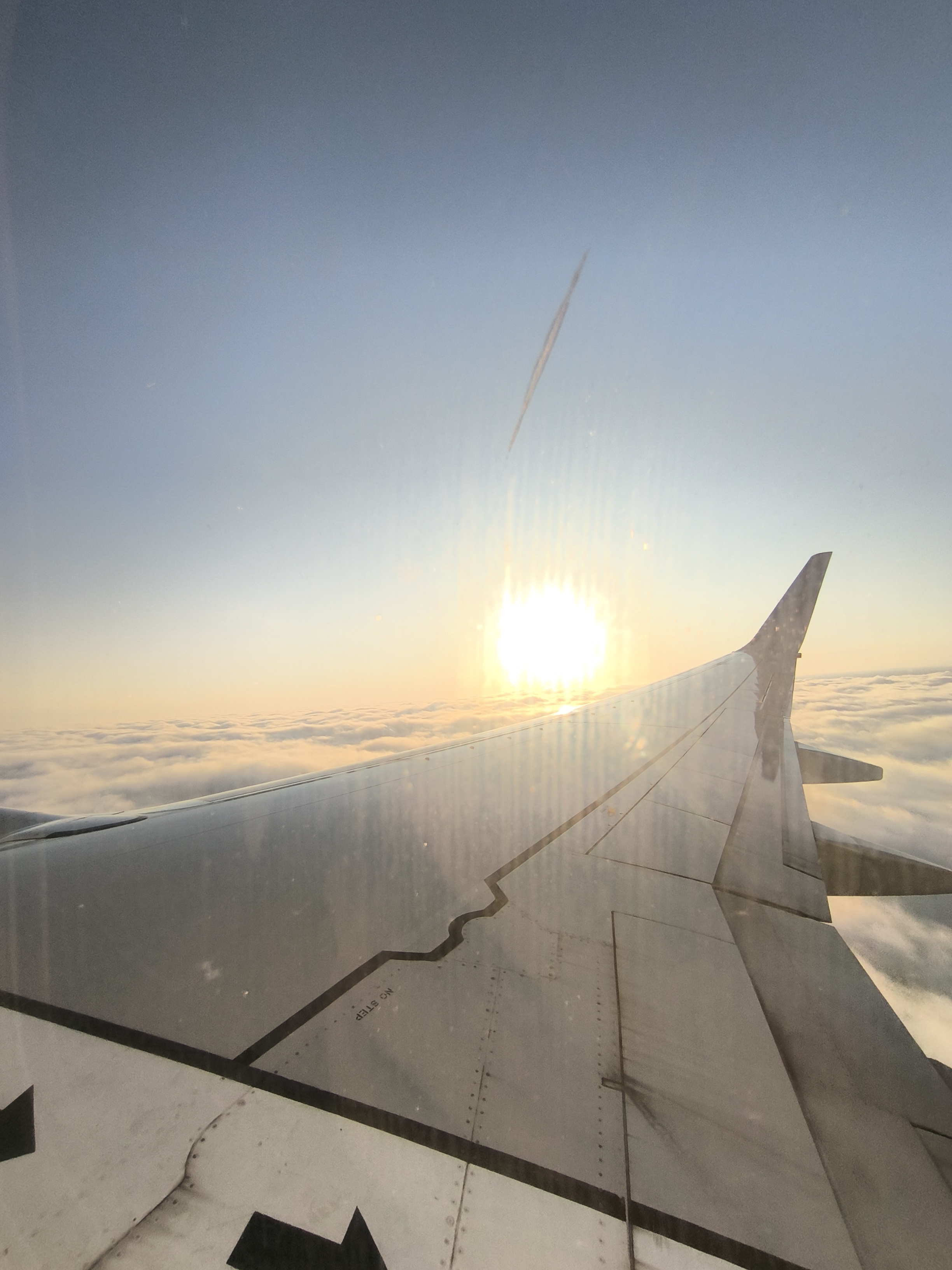 ĺĺ738Сʳ ޺Qantas QF479 SYD-MEL 737-800 ò