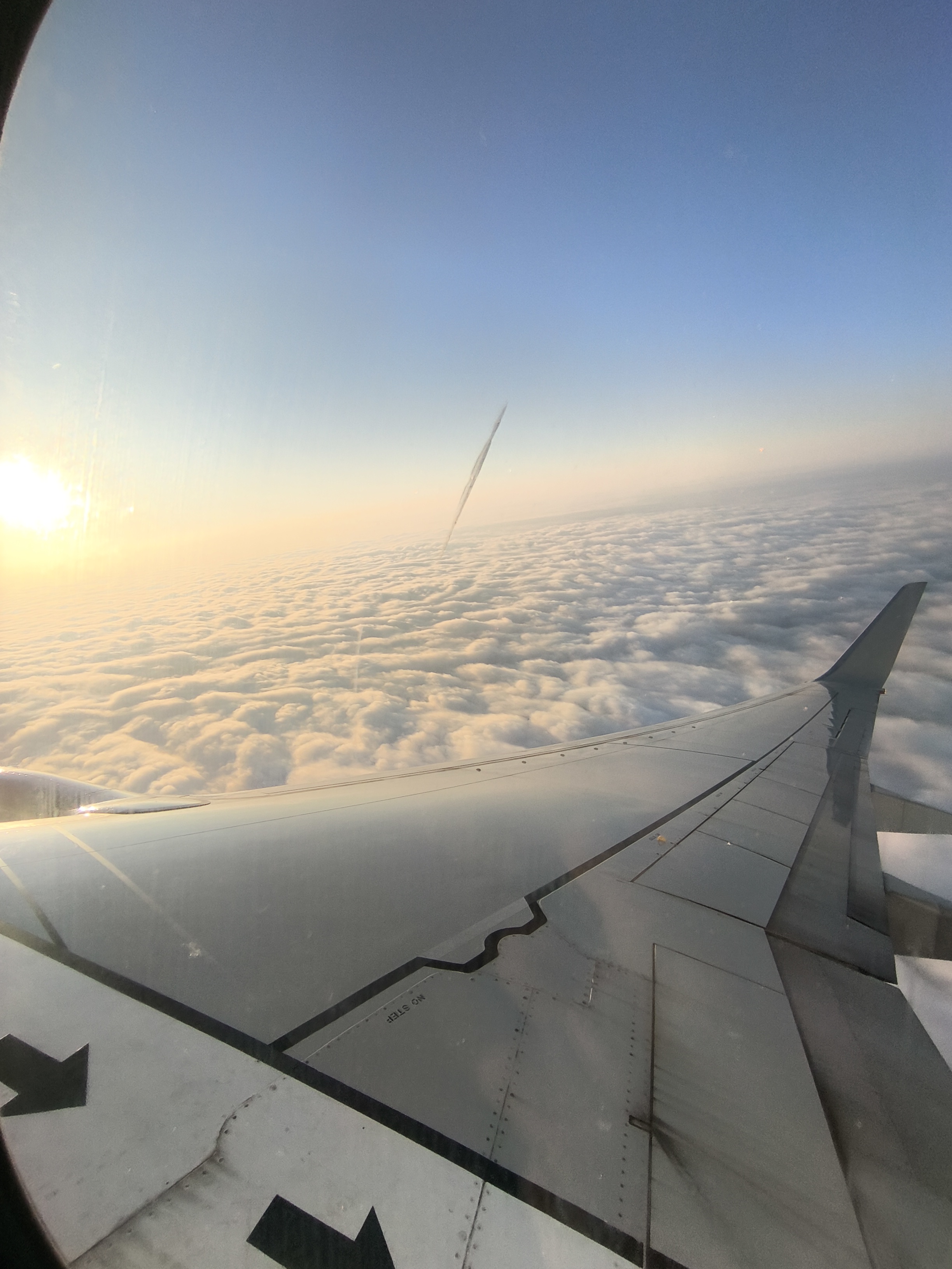 ĺĺ738Сʳ ޺Qantas QF479 SYD-MEL 737-800 ò