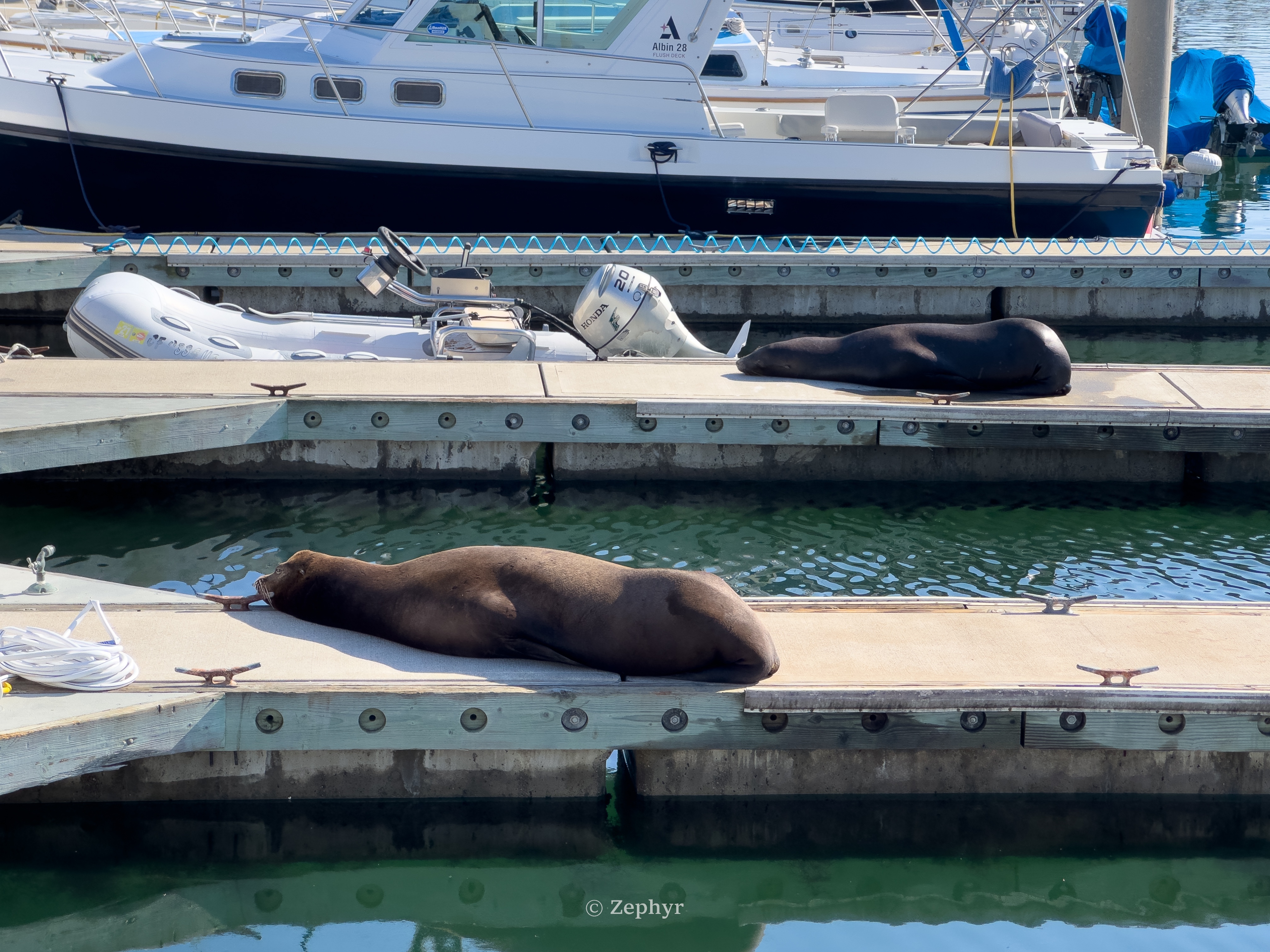 µޱͧͷ | ɼ˼ The Ritz-Carlton, Marina del Rey