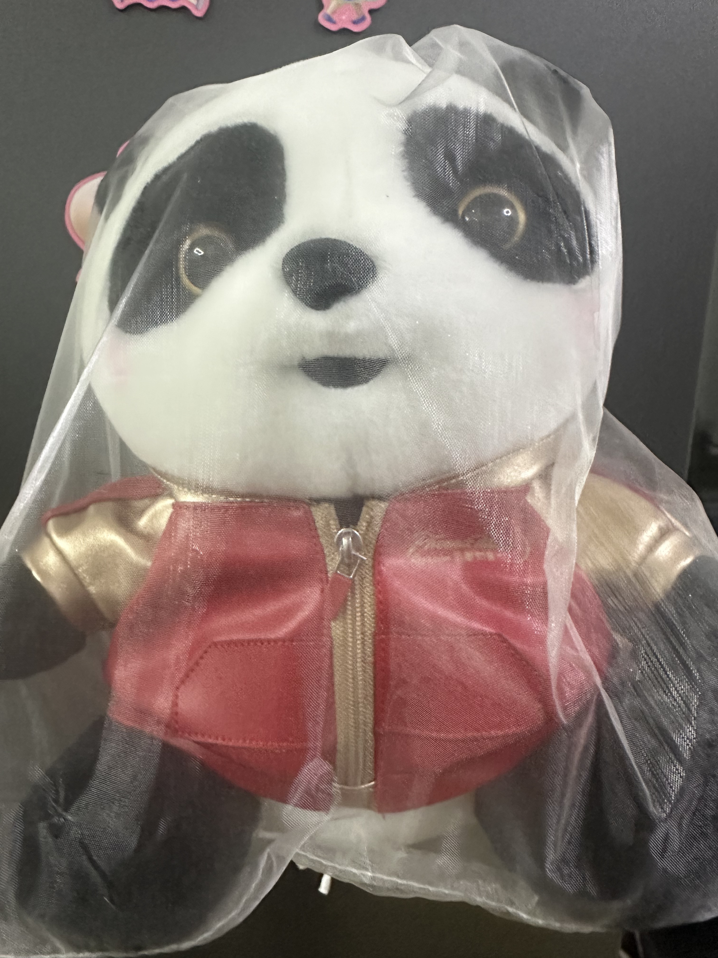 ʮ缯֮NX010