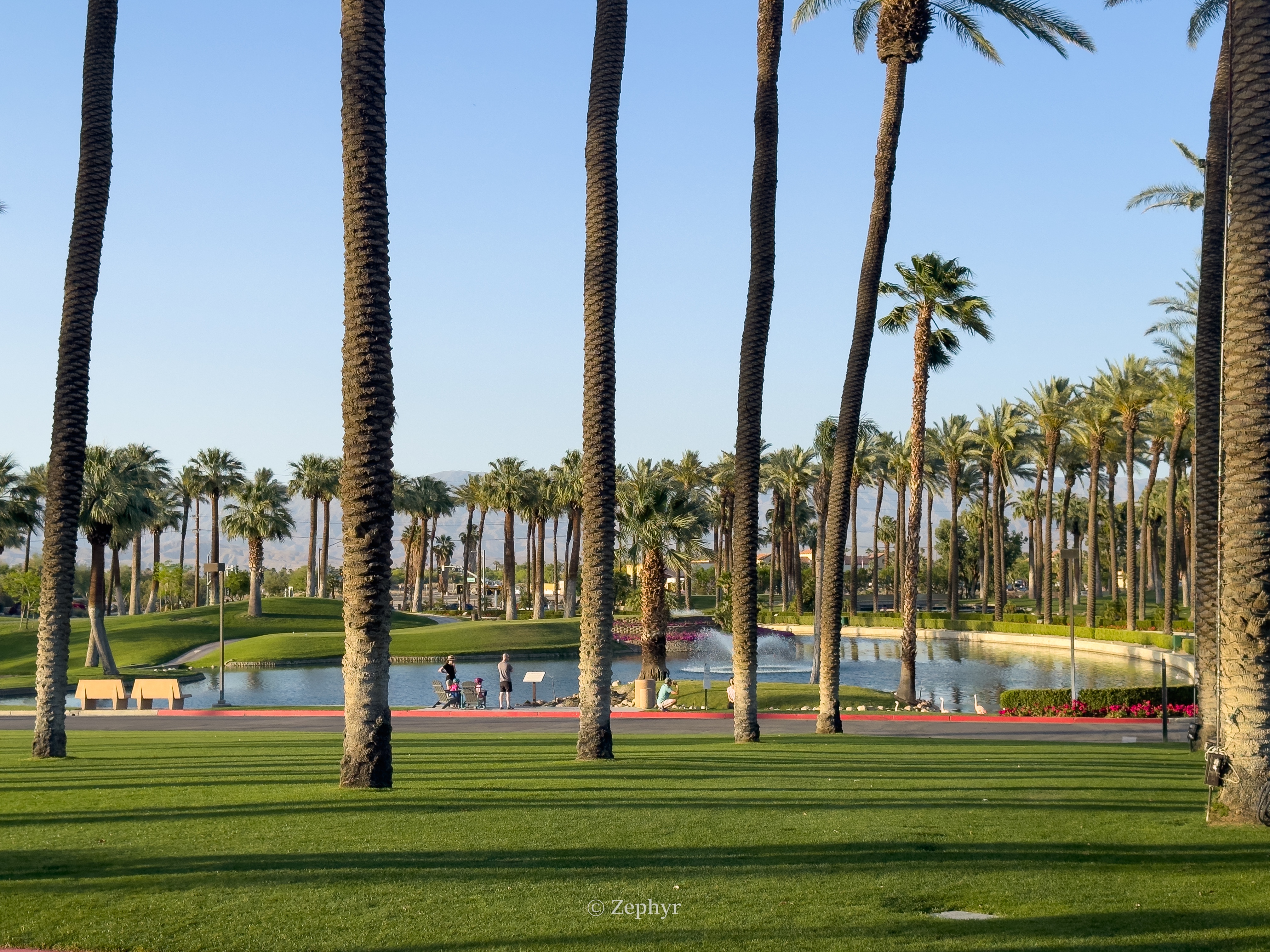 ȪJW - ɳĮг˴ JW Marriott Desert Springs Resort & Spa