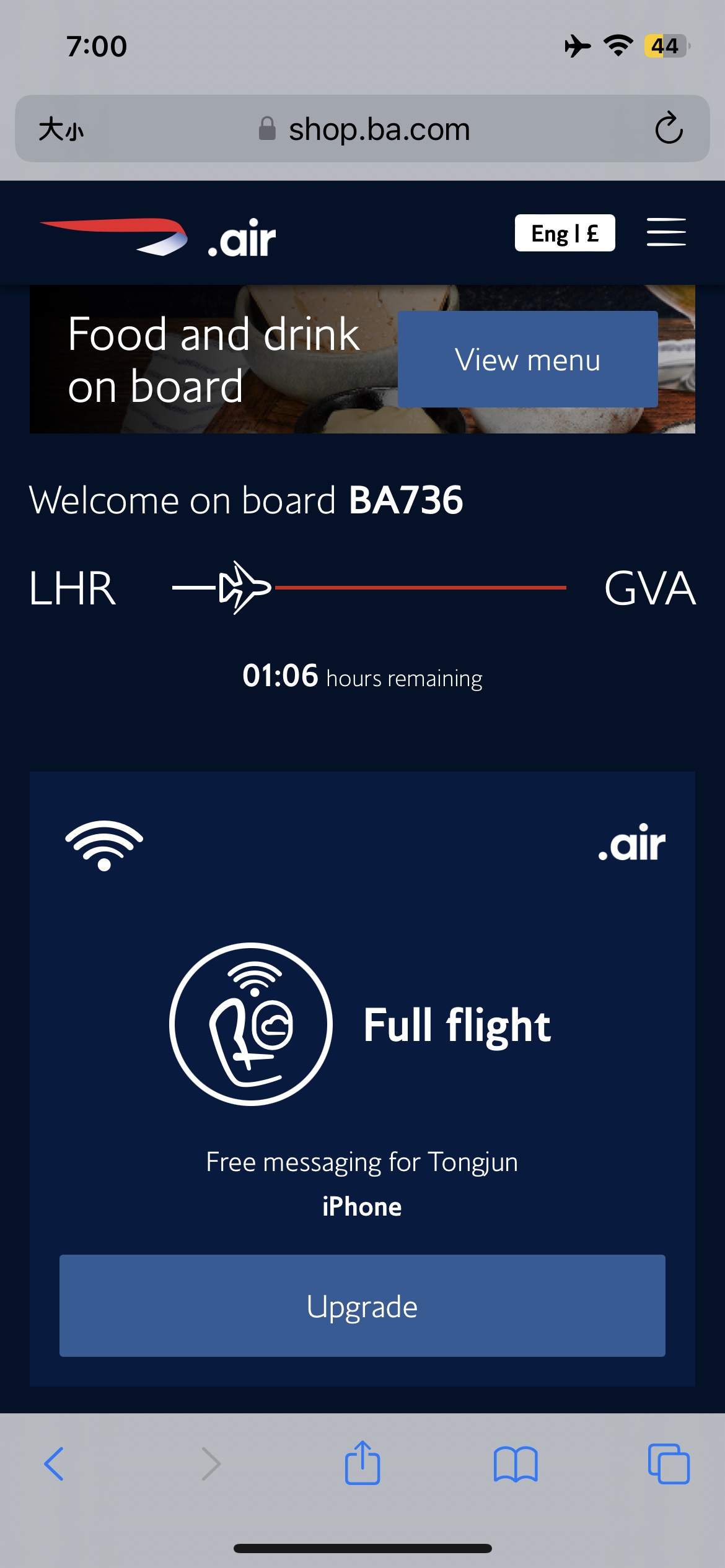 BA 736 LHR-GVA Ӣ Euro Traveller  ׶ϣ˹ - 