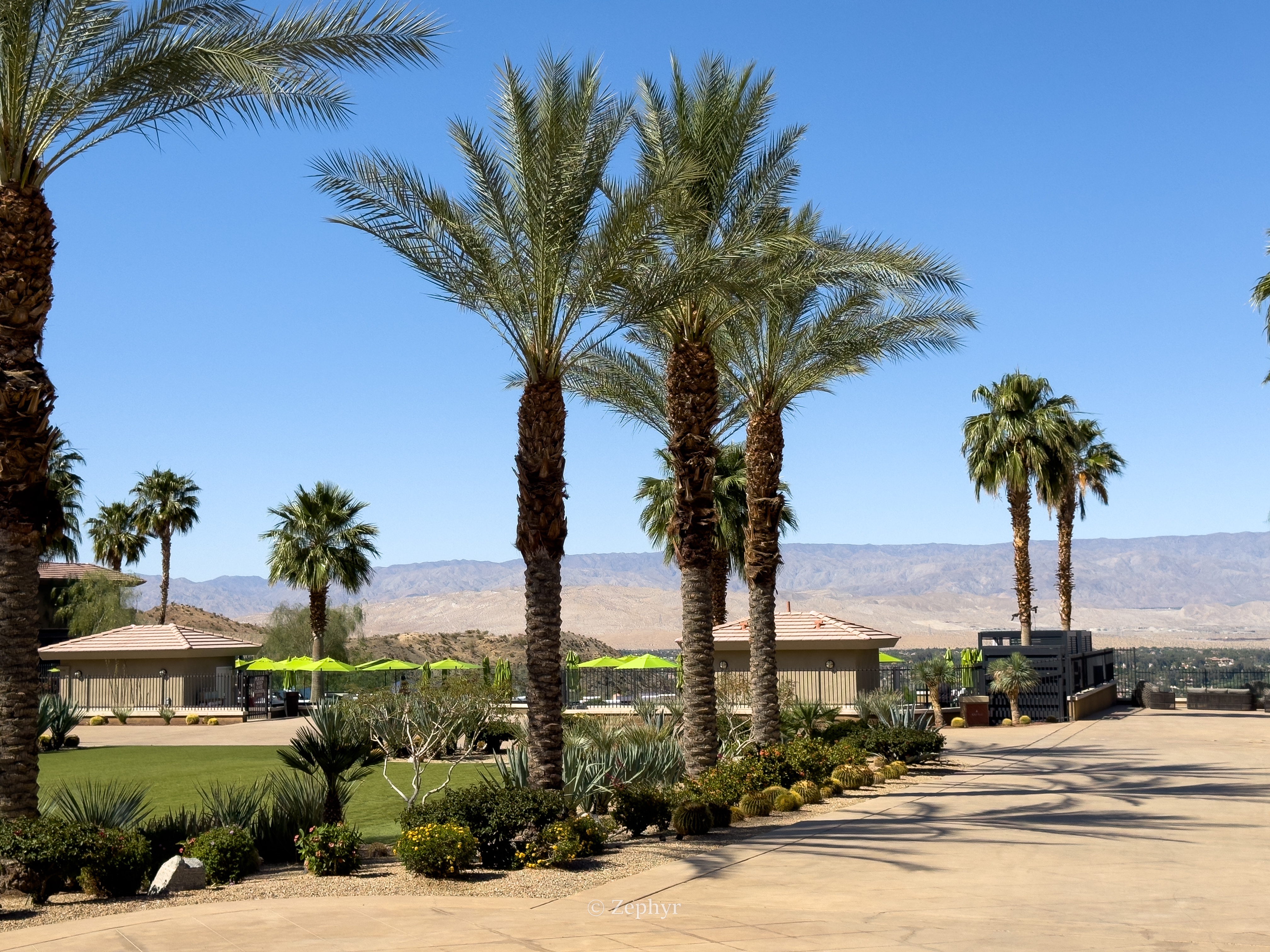 ȪӰ˼-ɳĮ֮ϵİɽȼThe Ritz-Carlton, Rancho Mirage