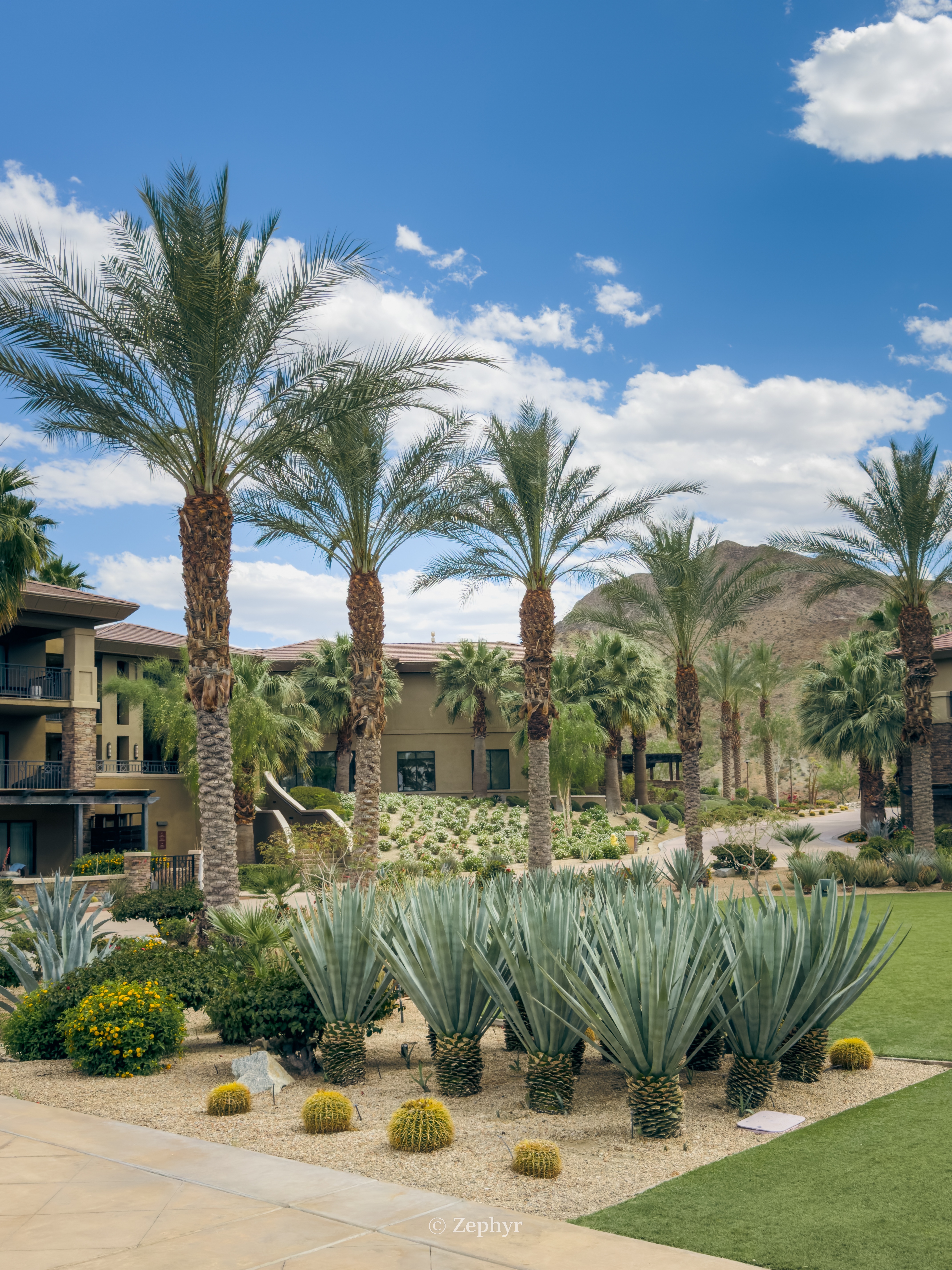 ȪӰ˼-ɳĮ֮ϵİɽȼThe Ritz-Carlton, Rancho Mirage