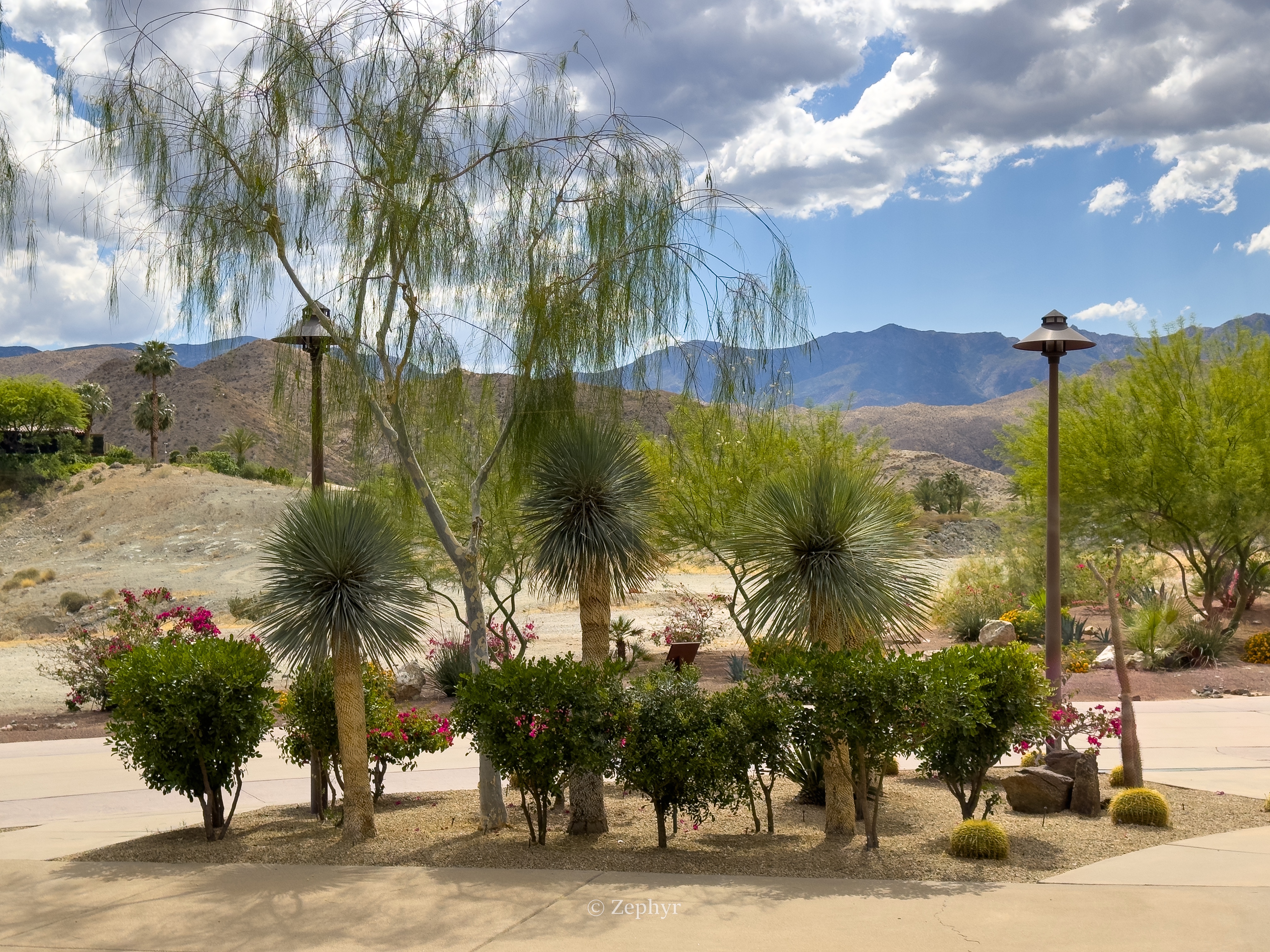 ȪӰ˼-ɳĮ֮ϵİɽȼThe Ritz-Carlton, Rancho Mirage