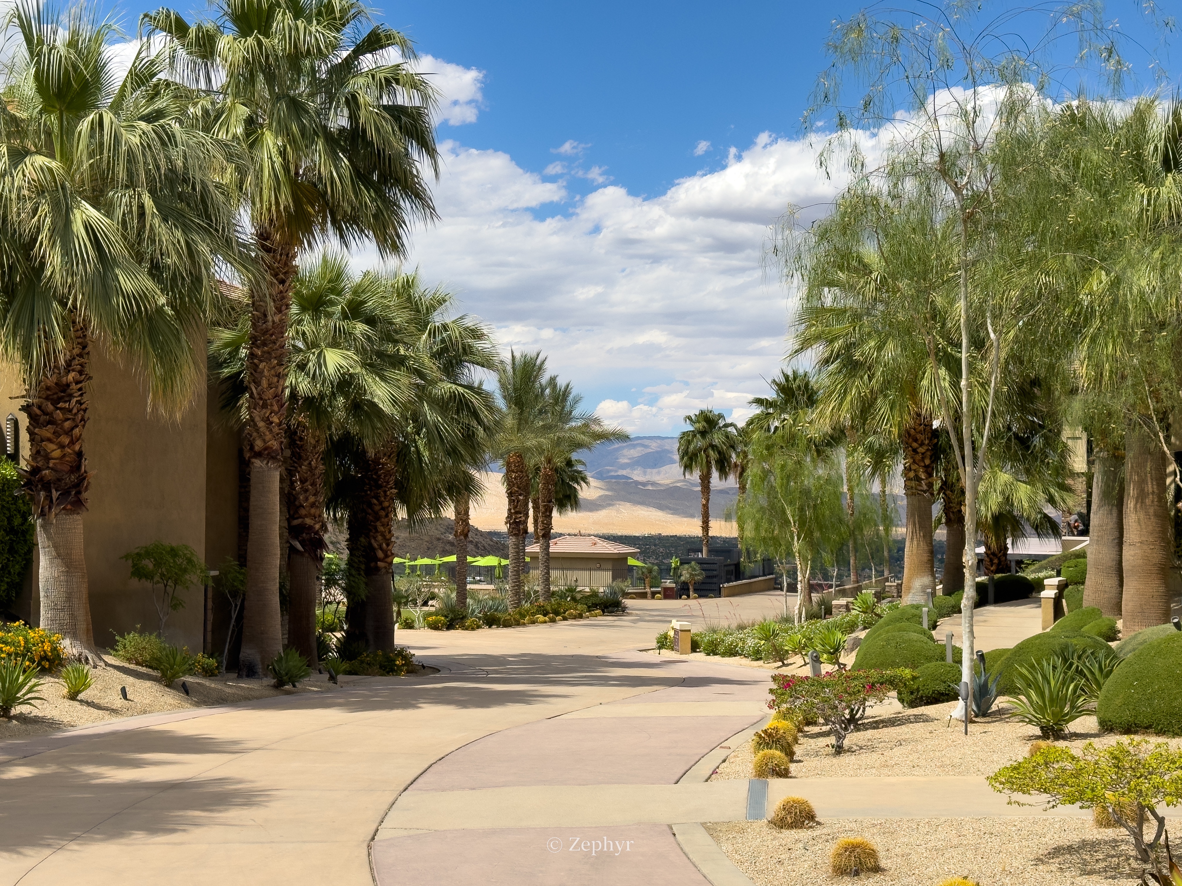 ȪӰ˼-ɳĮ֮ϵİɽȼThe Ritz-Carlton, Rancho Mirage